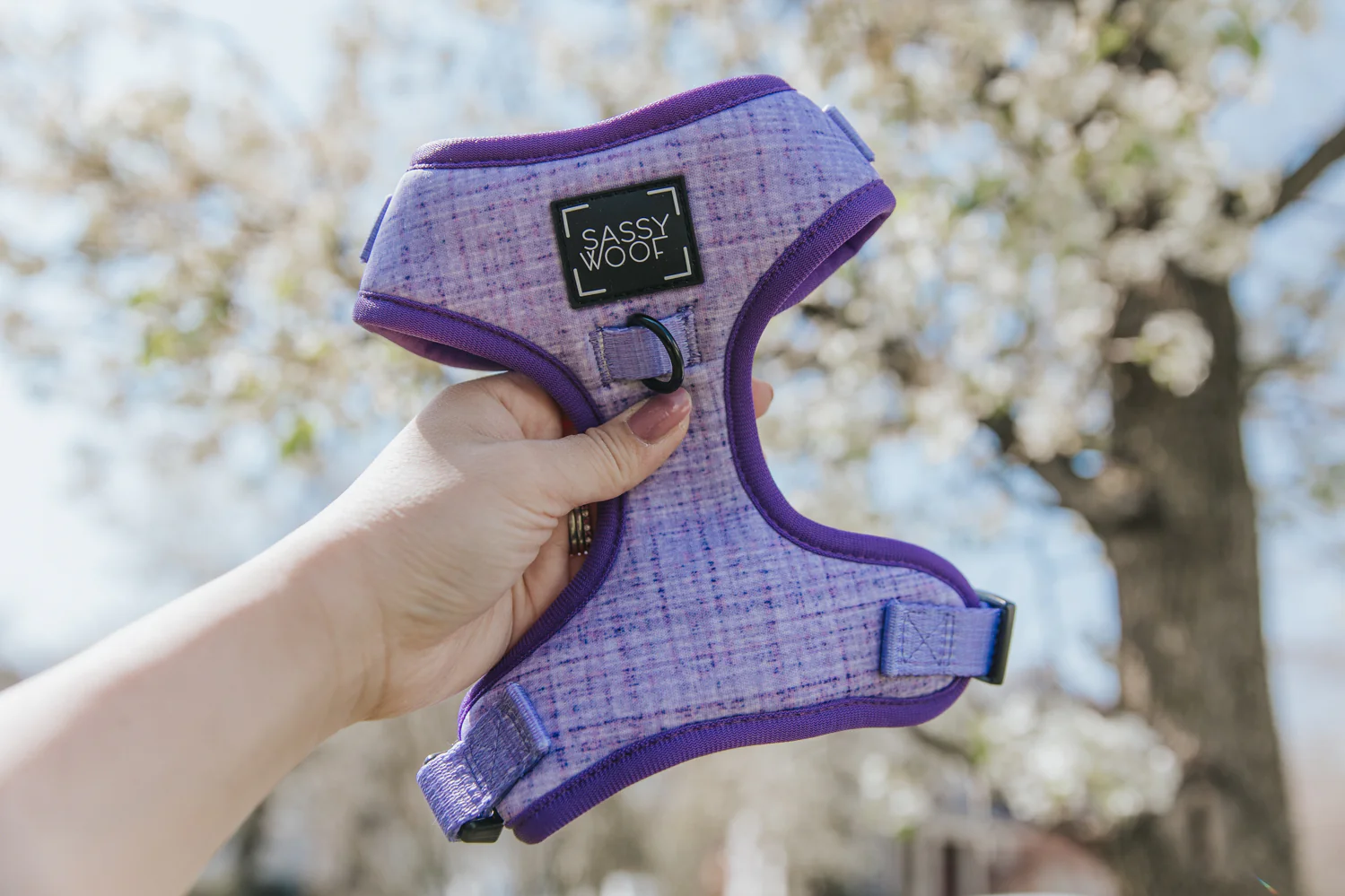 Dog Adjustable Harness - Aurora - Image 5