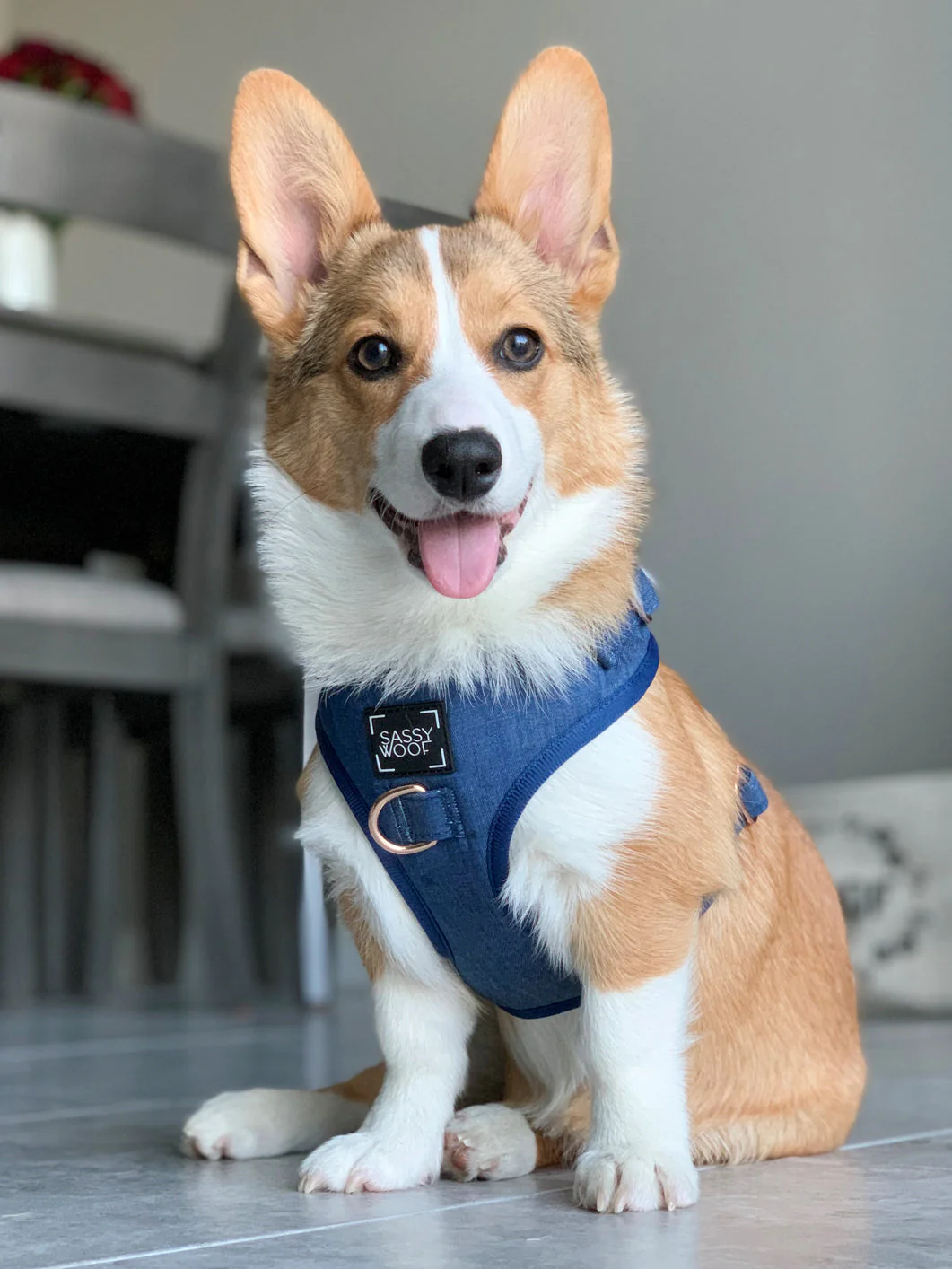 Dog Adjustable Harness - Denim - Image 6