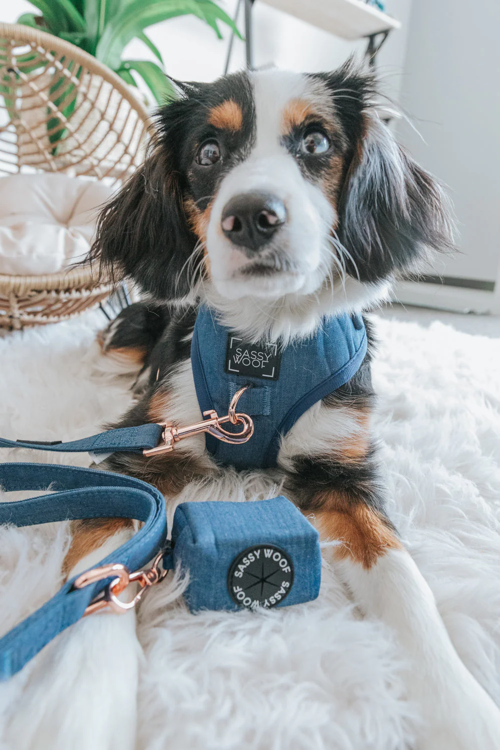 Dog Adjustable Harness - Denim - Image 9