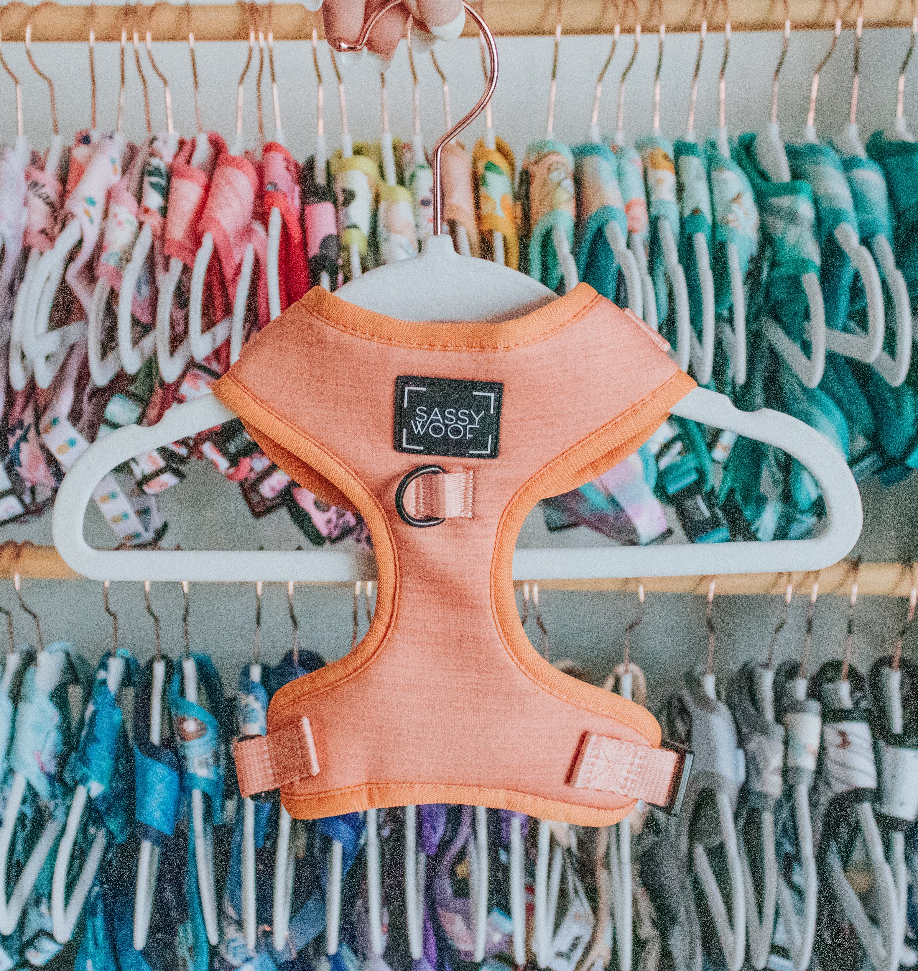 Dog Adjustable Harness - Apple Cider - Image 5