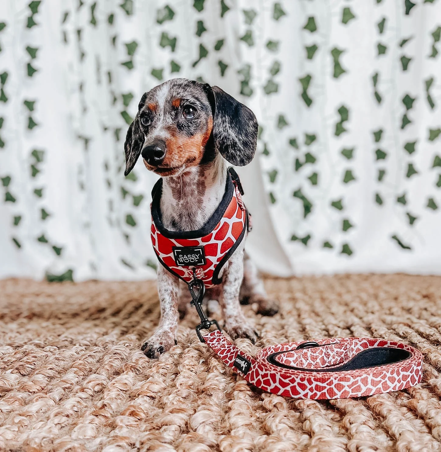Dog Adjustable Harness - Giraffic Park - Image 10