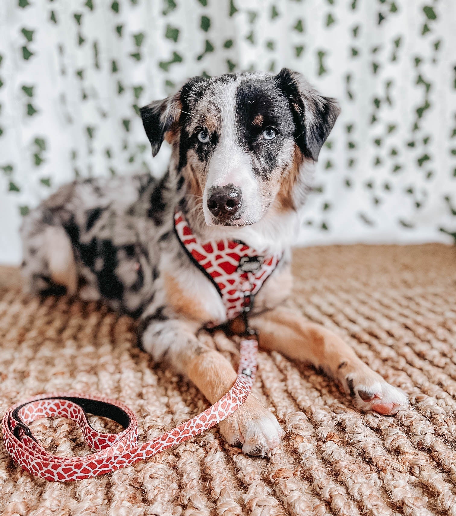 Dog Adjustable Harness - Giraffic Park - Image 6