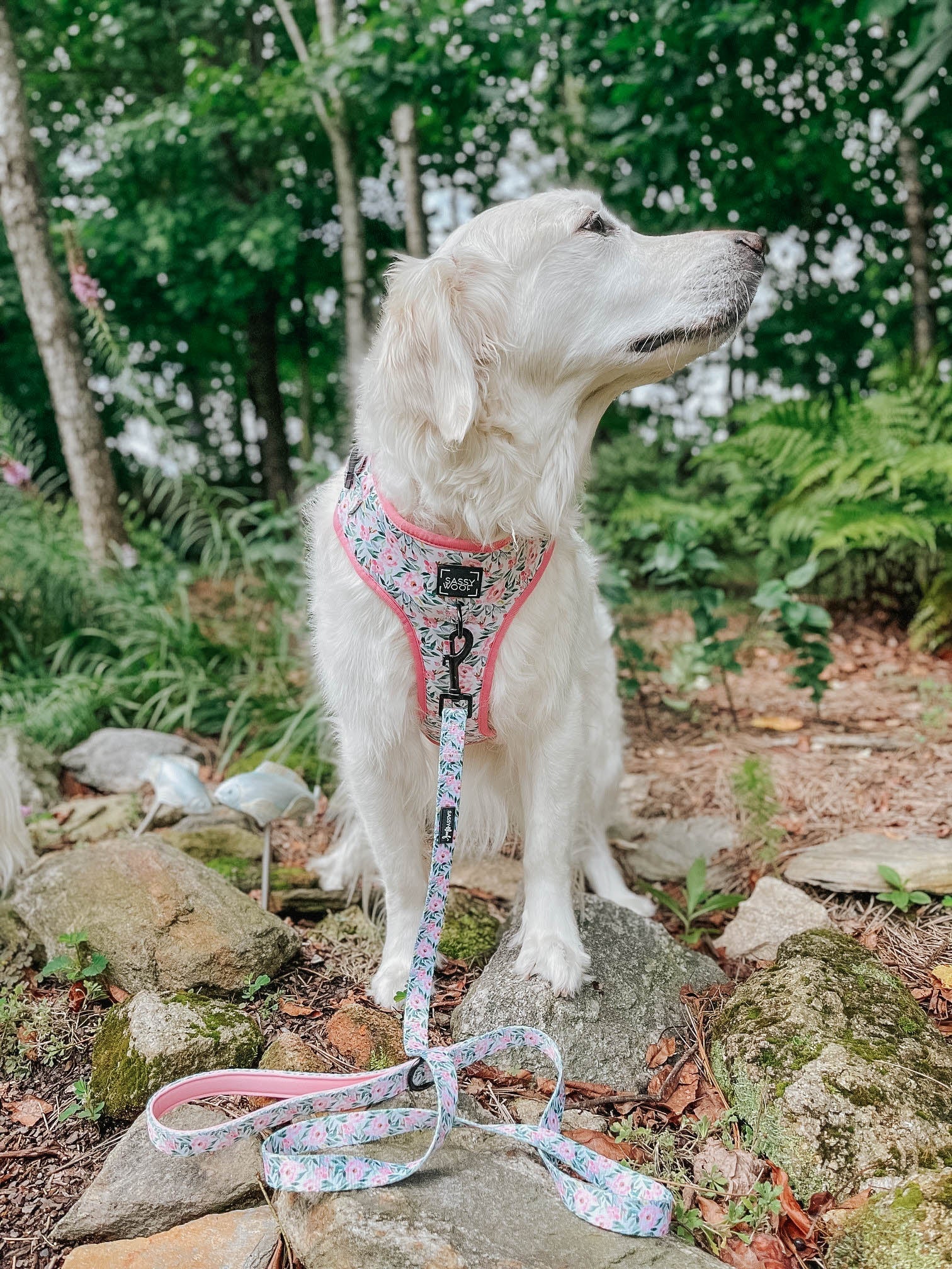 Dog Adjustable Harness - Magnolia - Image 10