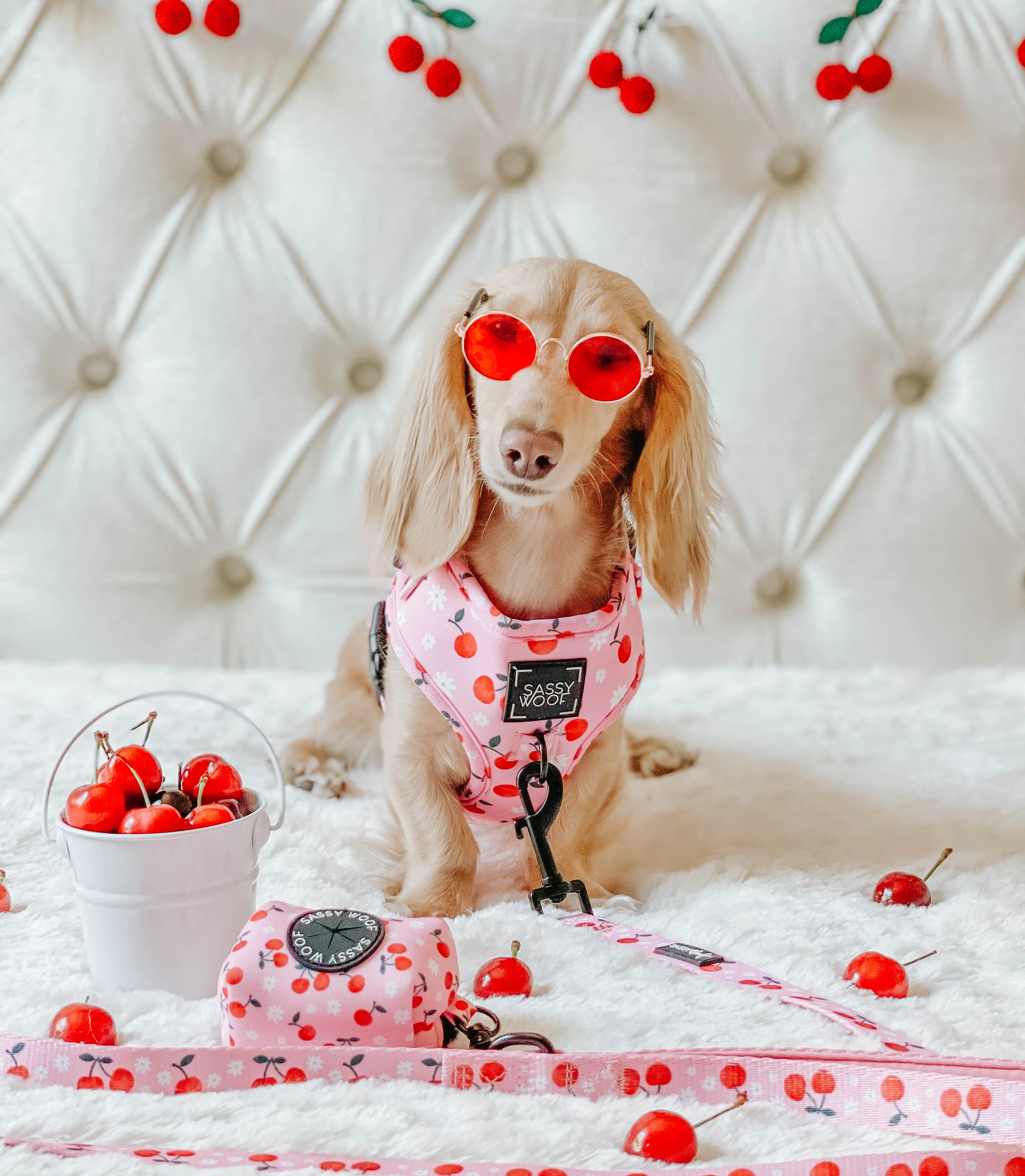 Dog Adjustable Harness - Mon Chérry - Image 9