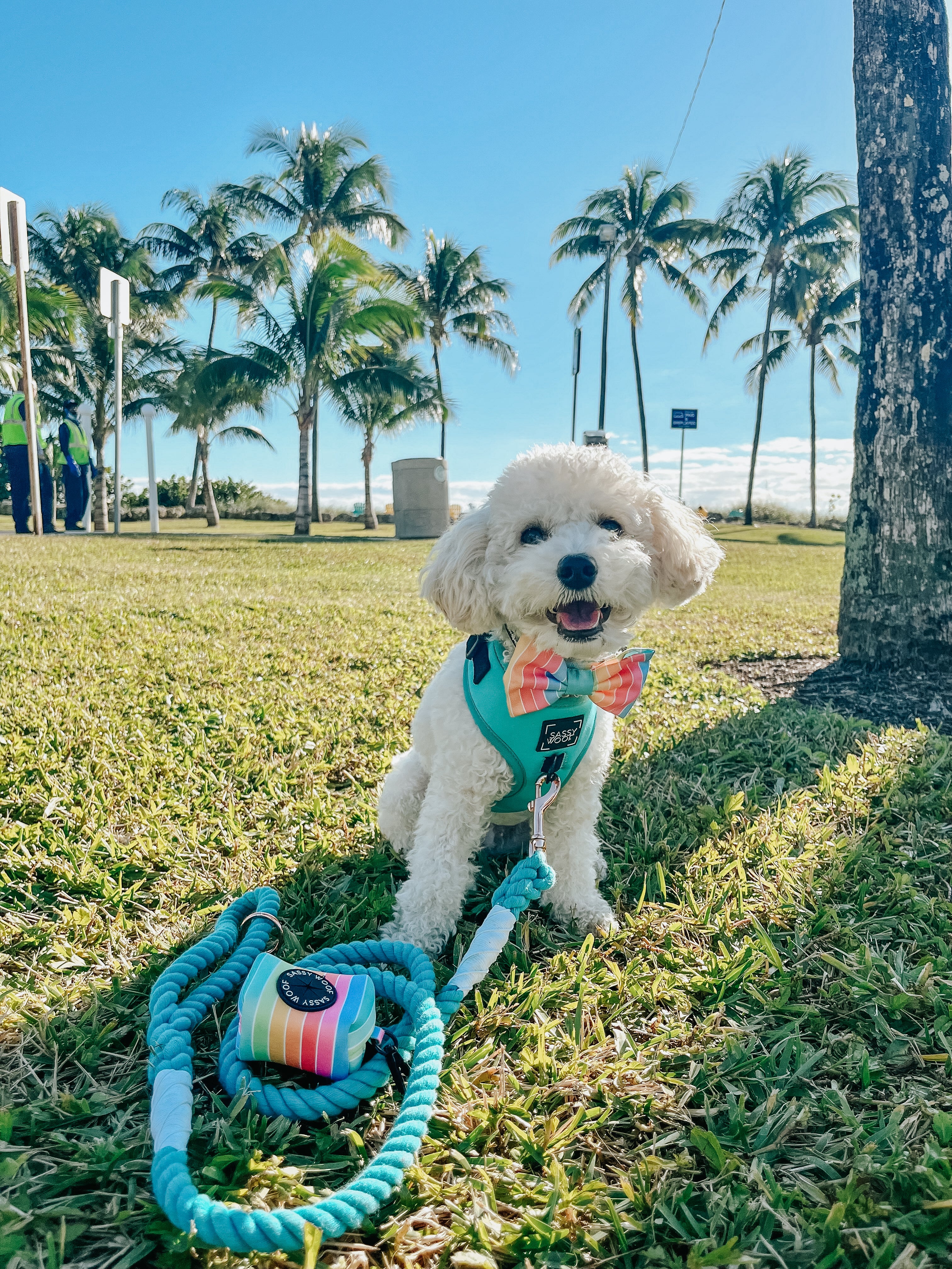 Dog Adjustable Harness - Neon Blue - Image 16