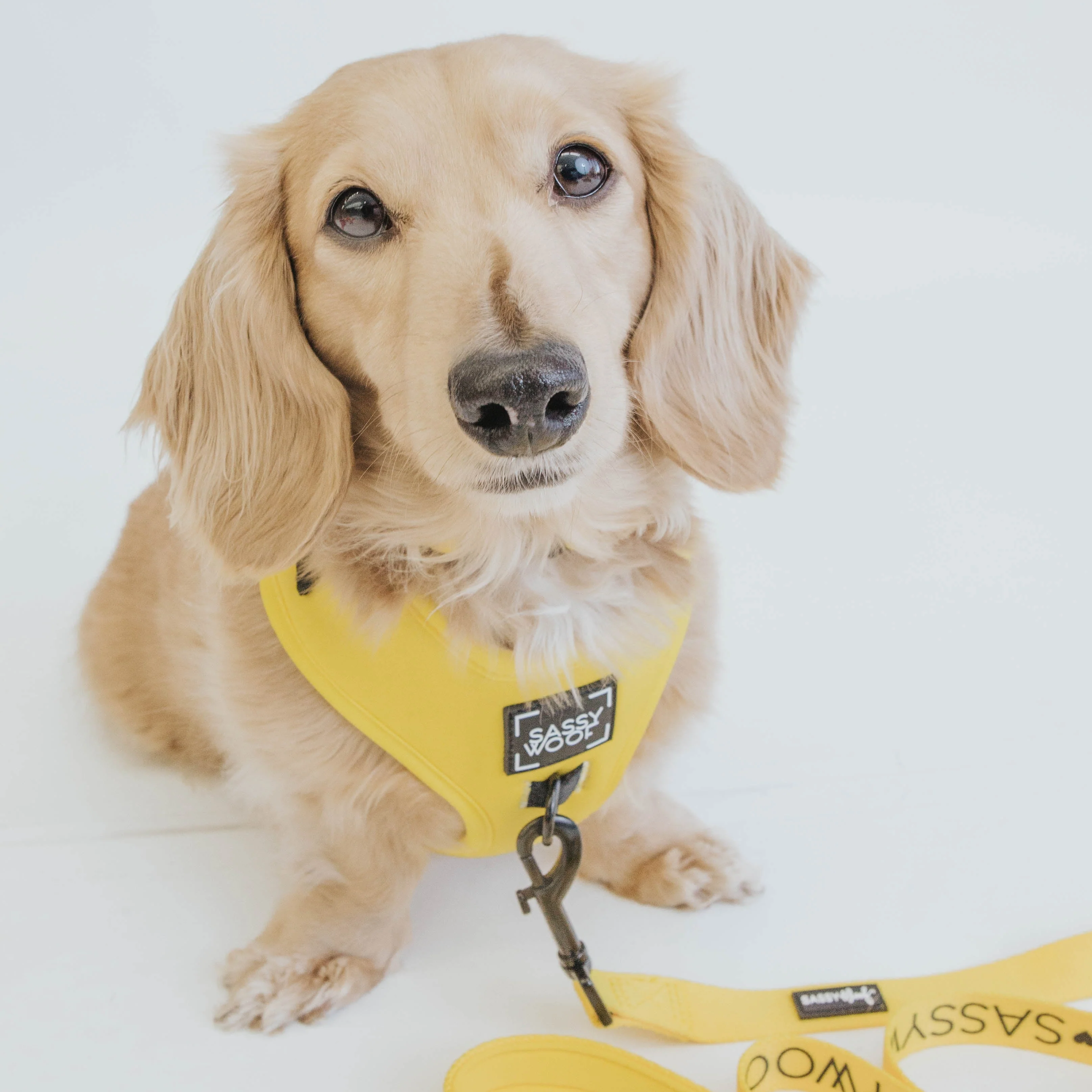Dog Adjustable Harness - Neon Yellow - Image 11
