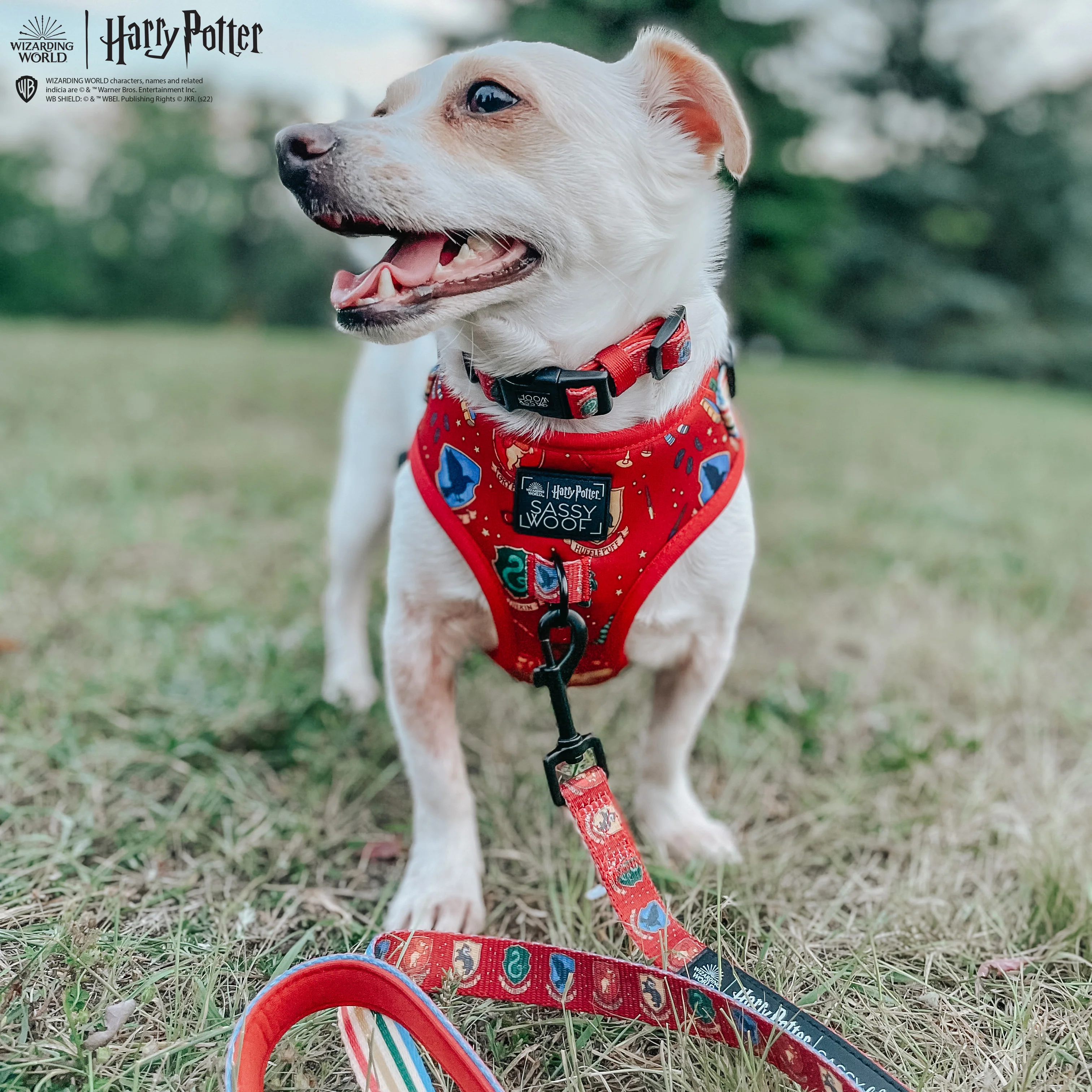 Dog Adjustable Harness - Harry Potter™ - Image 19