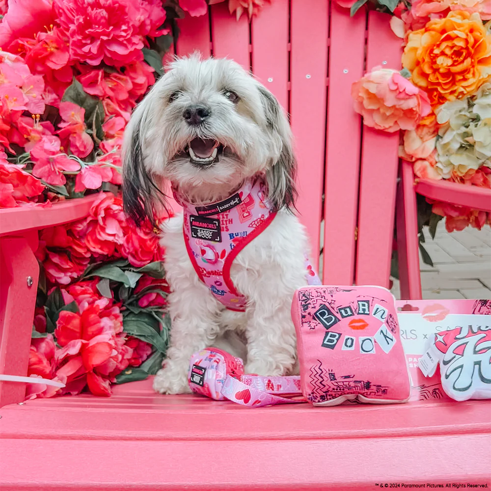 Dog Adjustable Harness - Mean Girls™ - Image 18