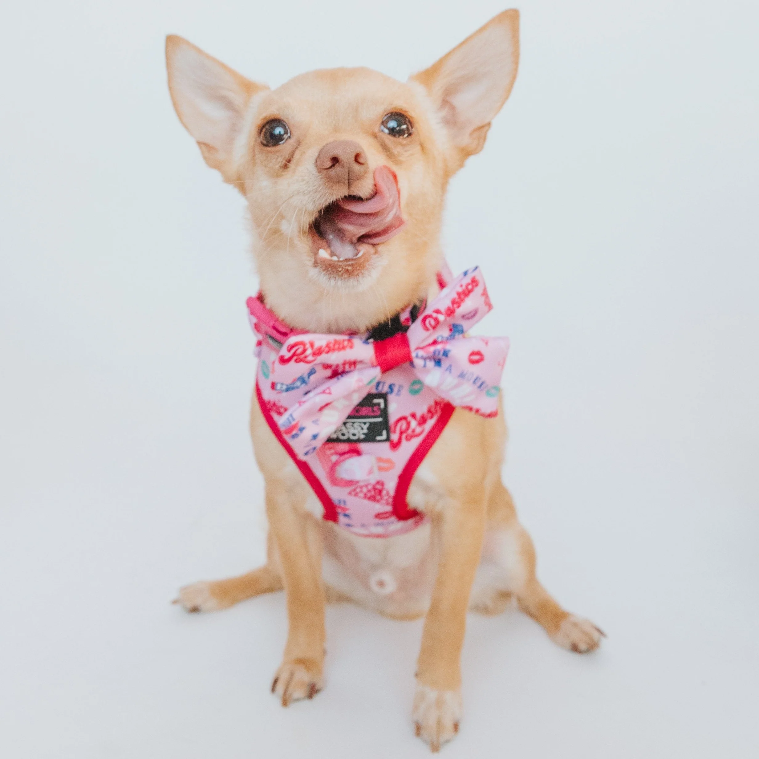 Dog Adjustable Harness - Mean Girls™ - Image 6