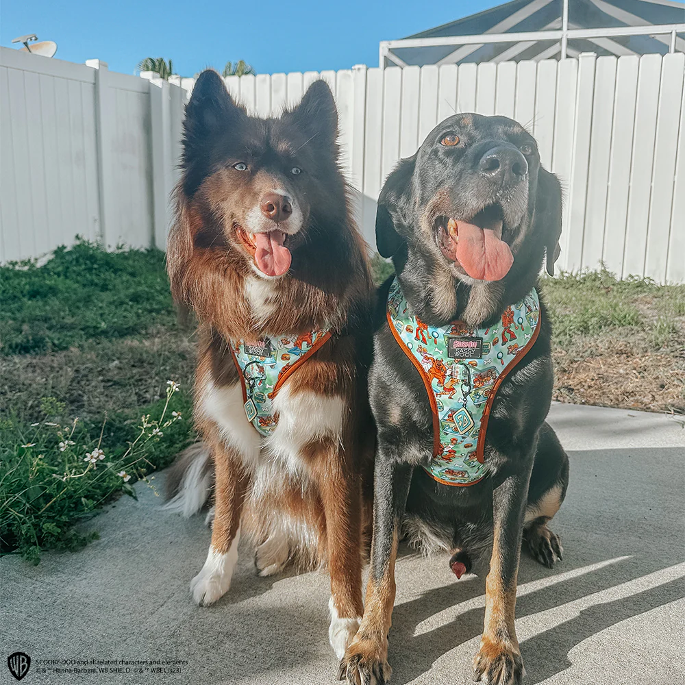 Dog Adjustable Harness - Scooby-Doo™ - Image 15