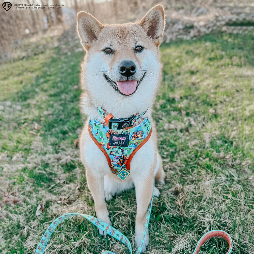 Dog Adjustable Harness - Scooby-Doo™ - Image 9