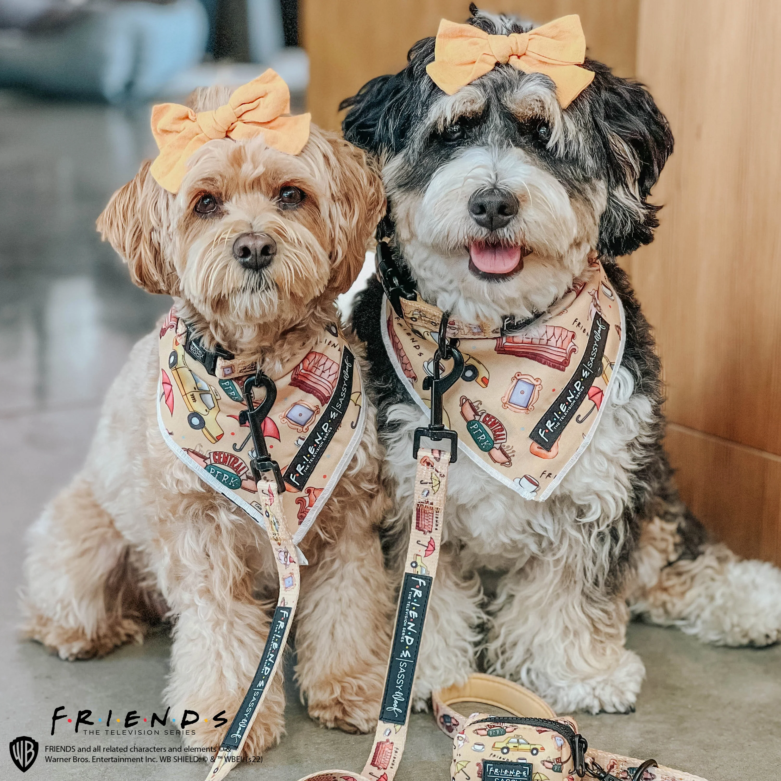 Dog Bandana - Friends™ (Yellow) - Image 5