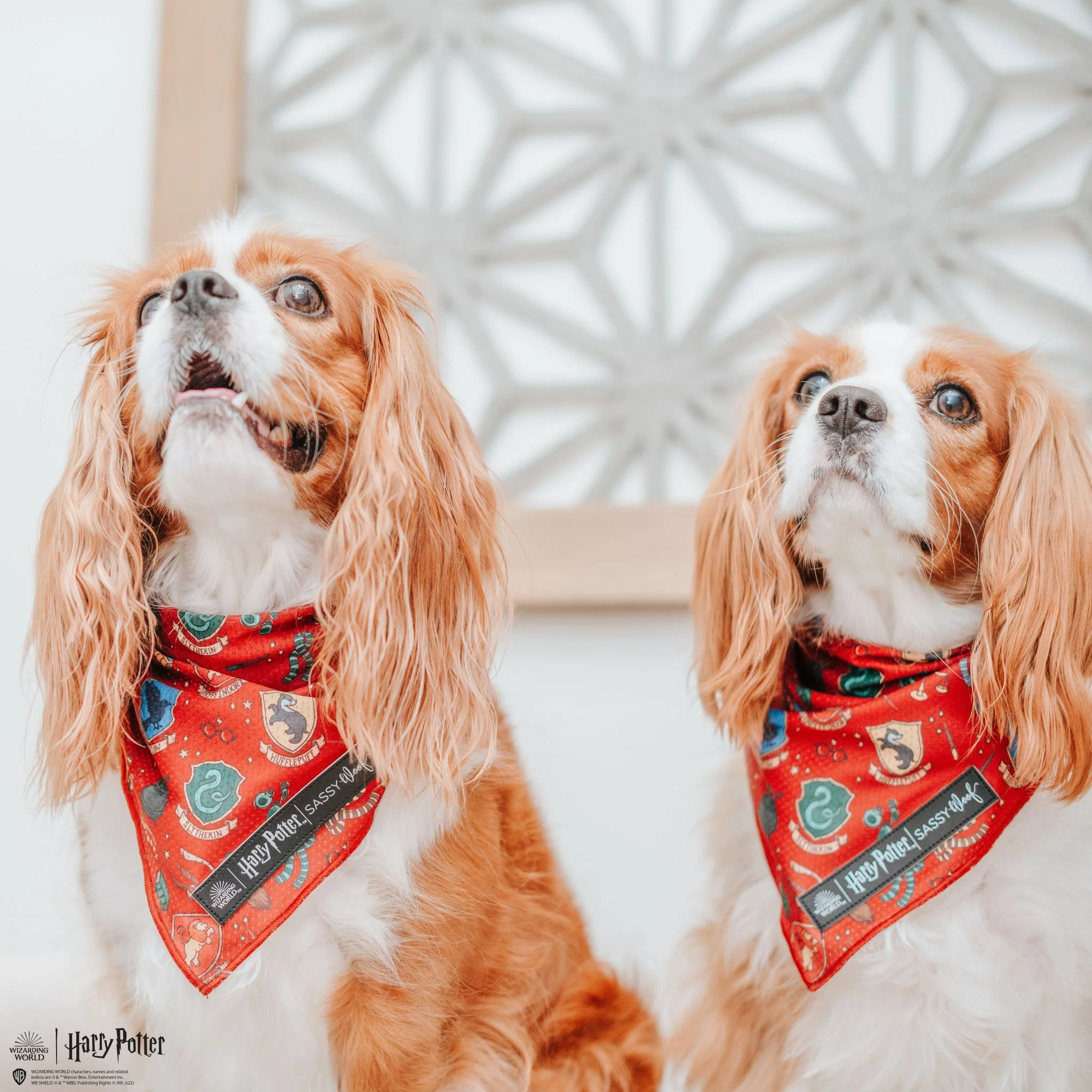 Dog Bandana - Harry Potter™ - Image 10