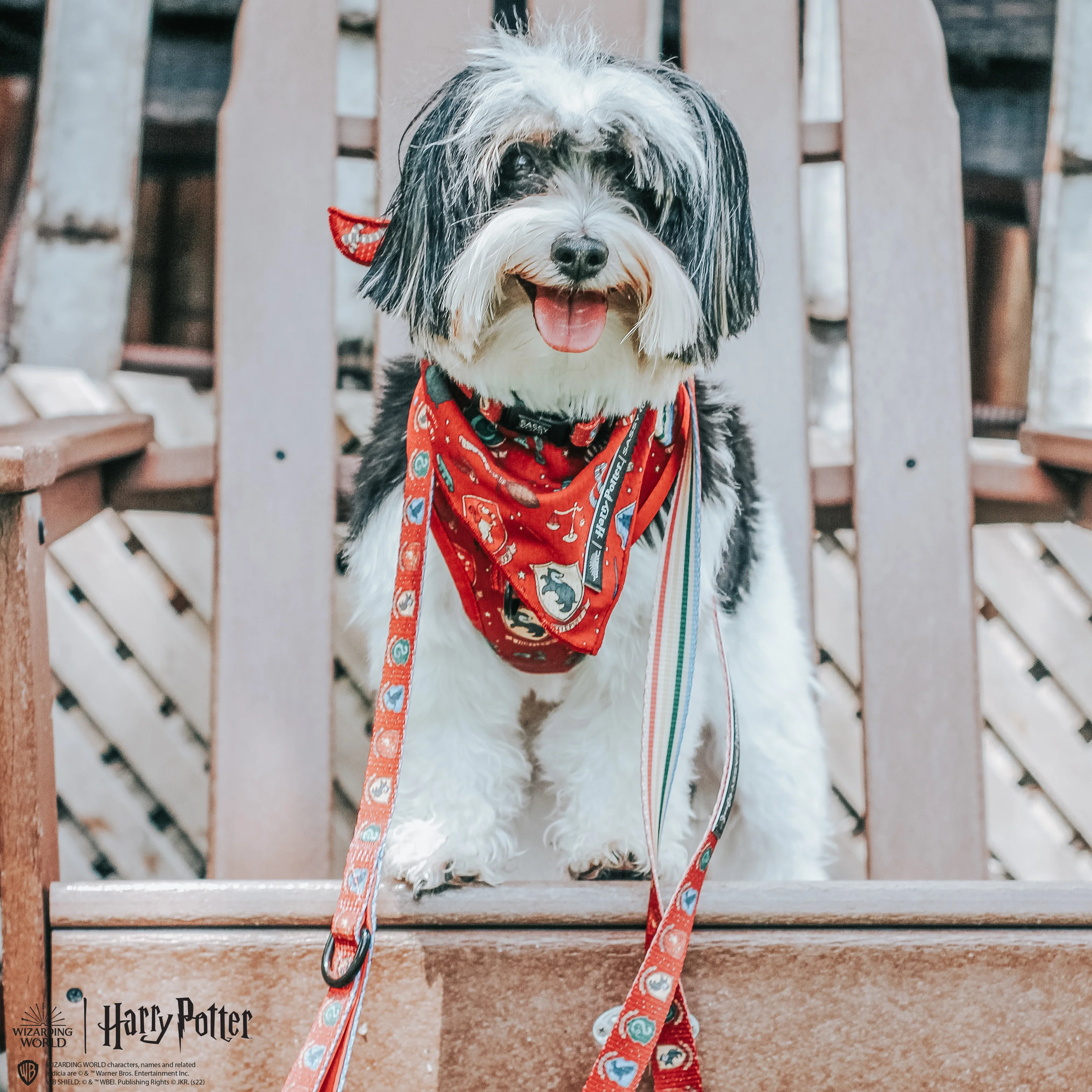 Dog Bandana - Harry Potter™ - Image 11