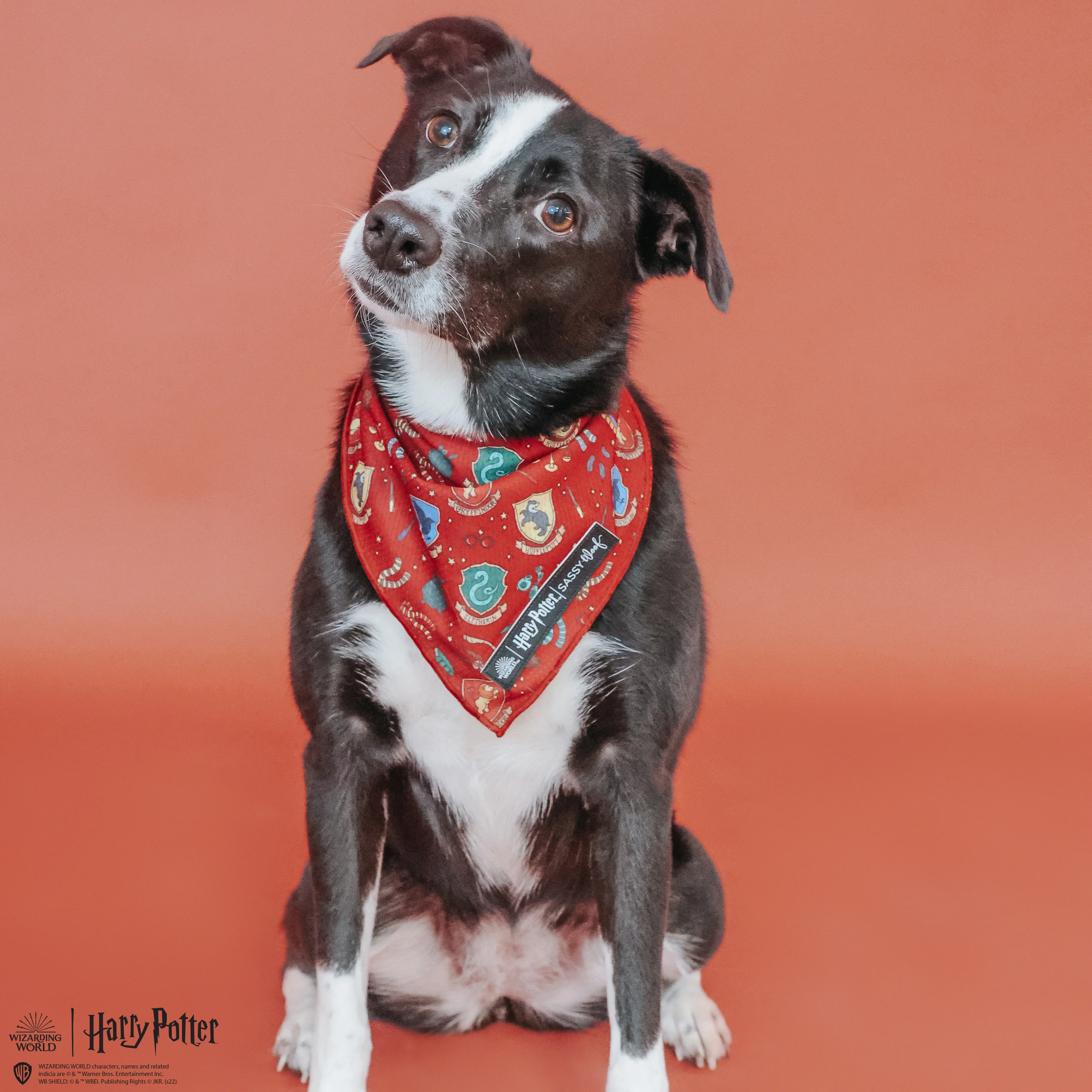 Dog Bandana - Harry Potter™ - Image 12