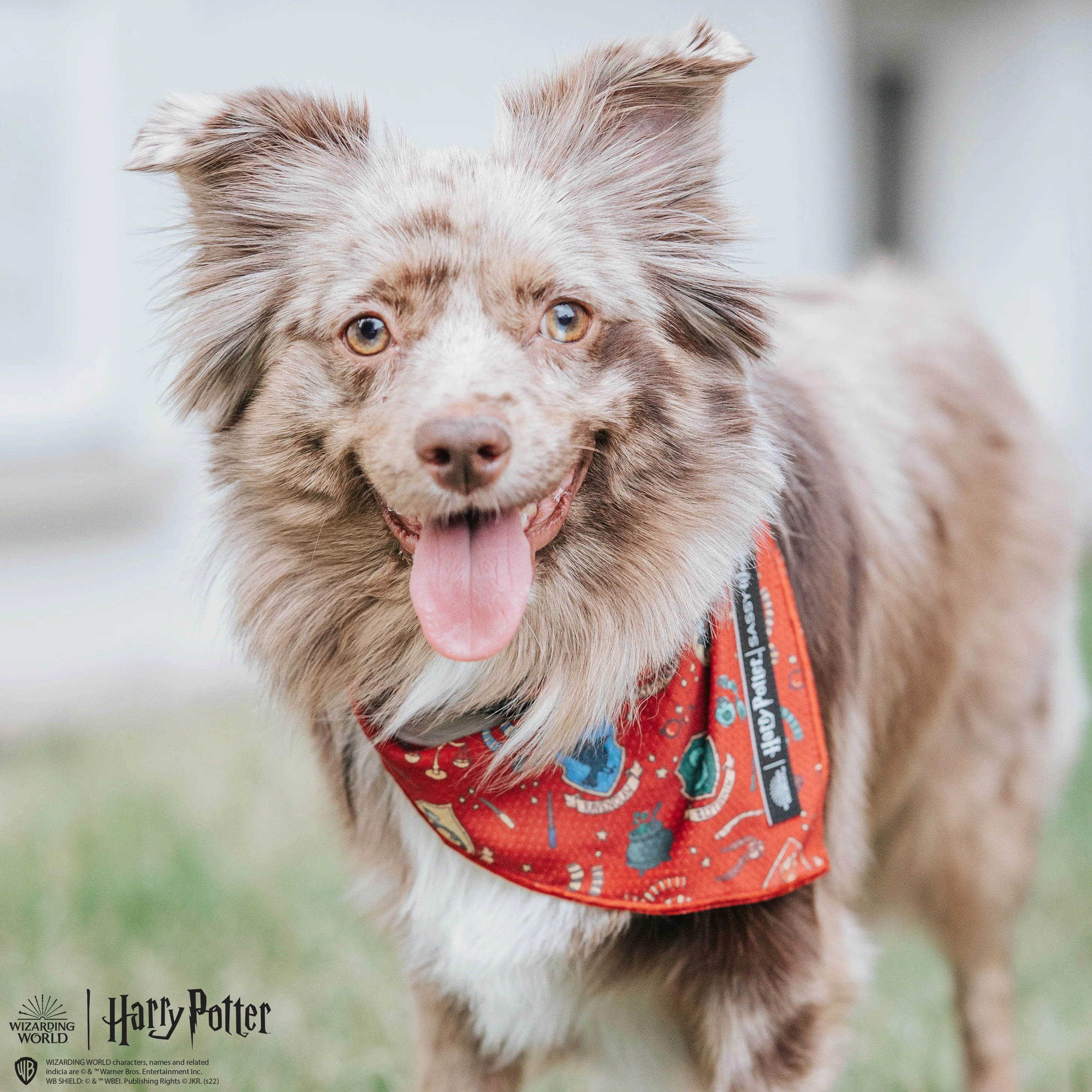 Dog Bandana - Harry Potter™ - Image 13