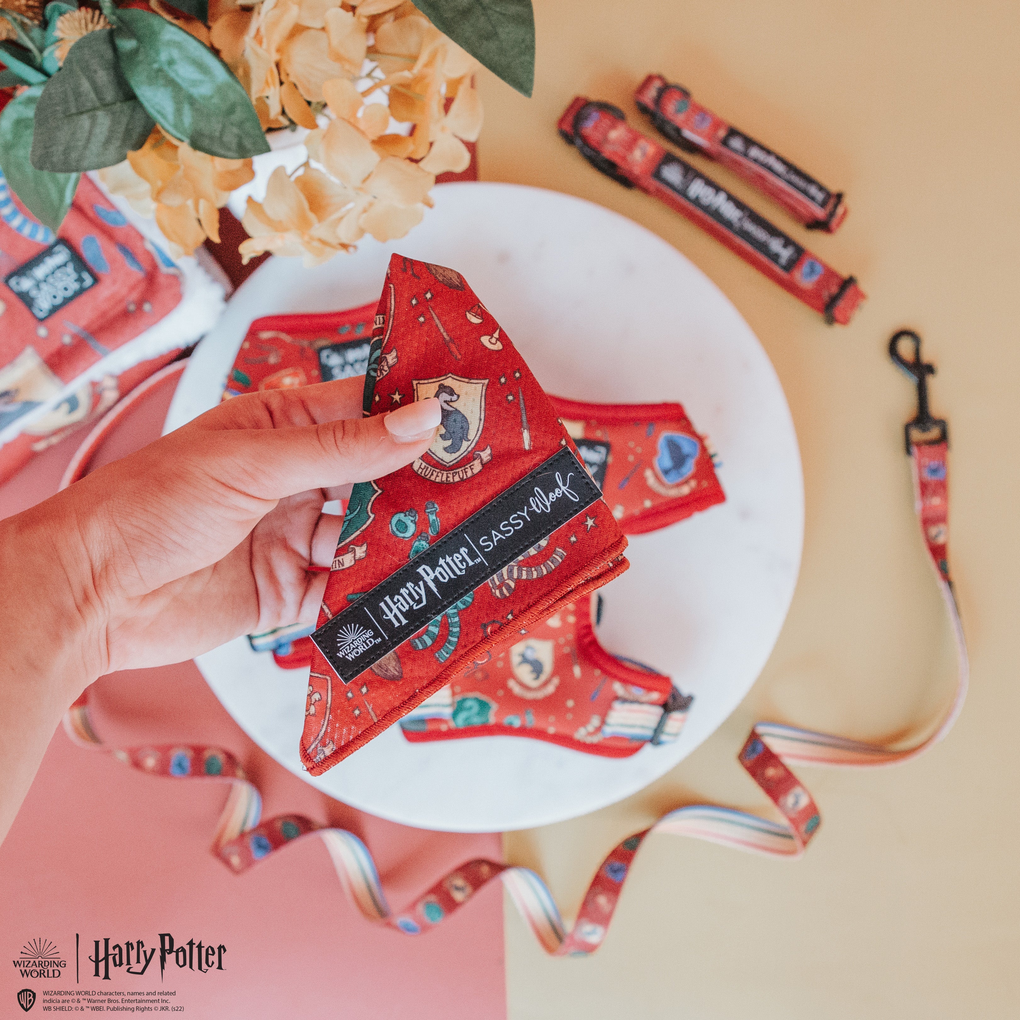 Dog Bandana - Harry Potter™ - Image 5