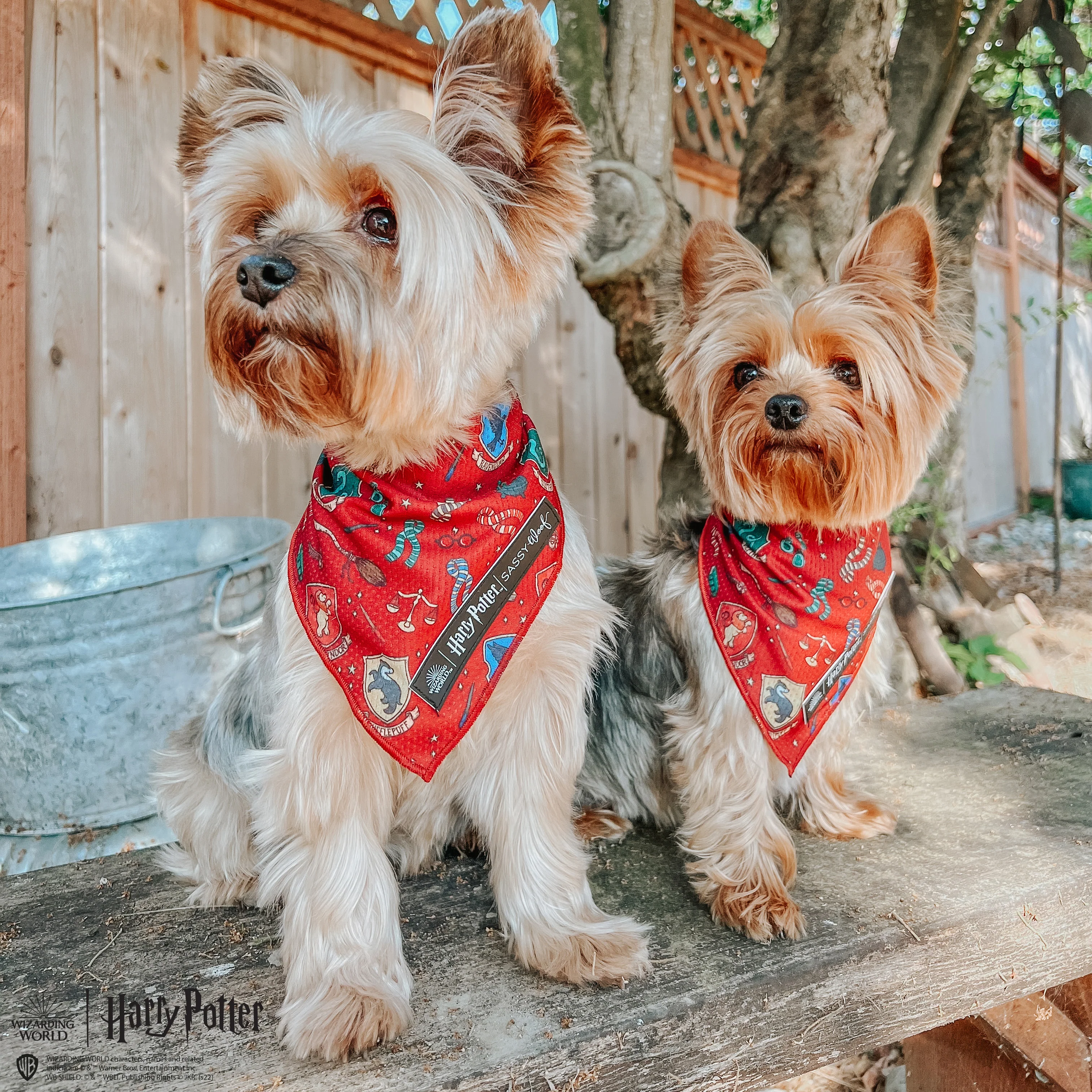 Dog Bandana - Harry Potter™ - Image 7