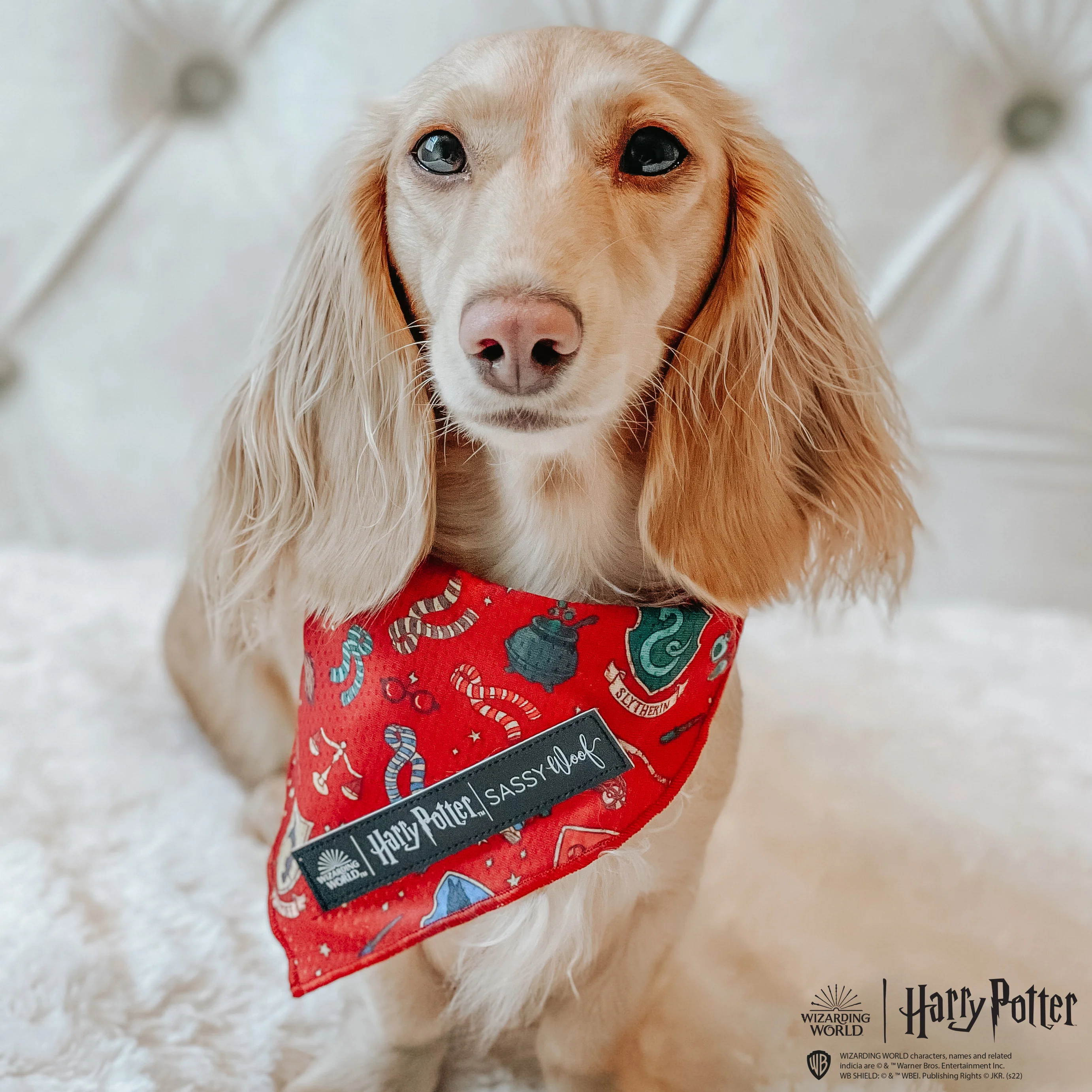 Dog Bandana - Harry Potter™ - Image 8