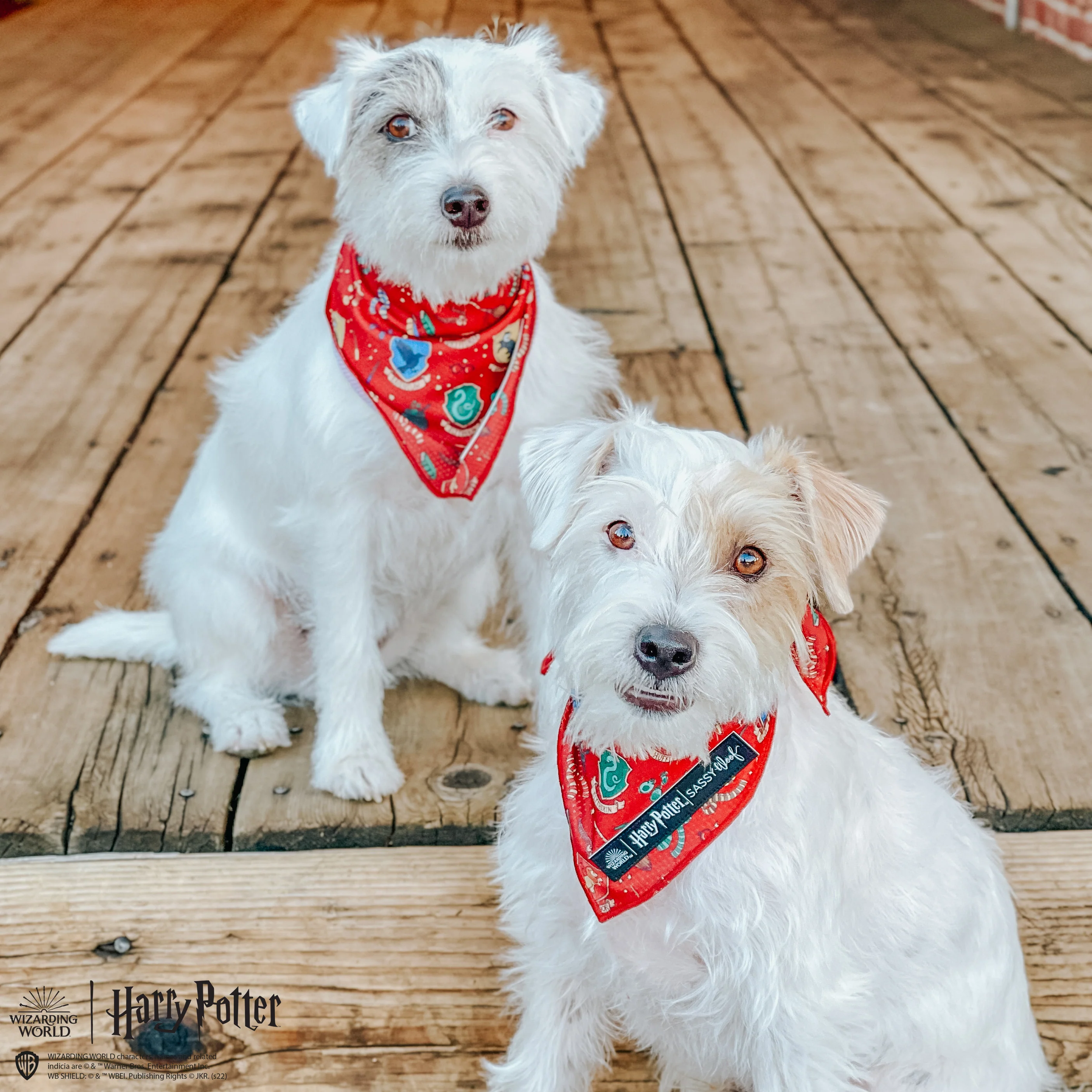 Dog Bandana - Harry Potter™ - Image 9