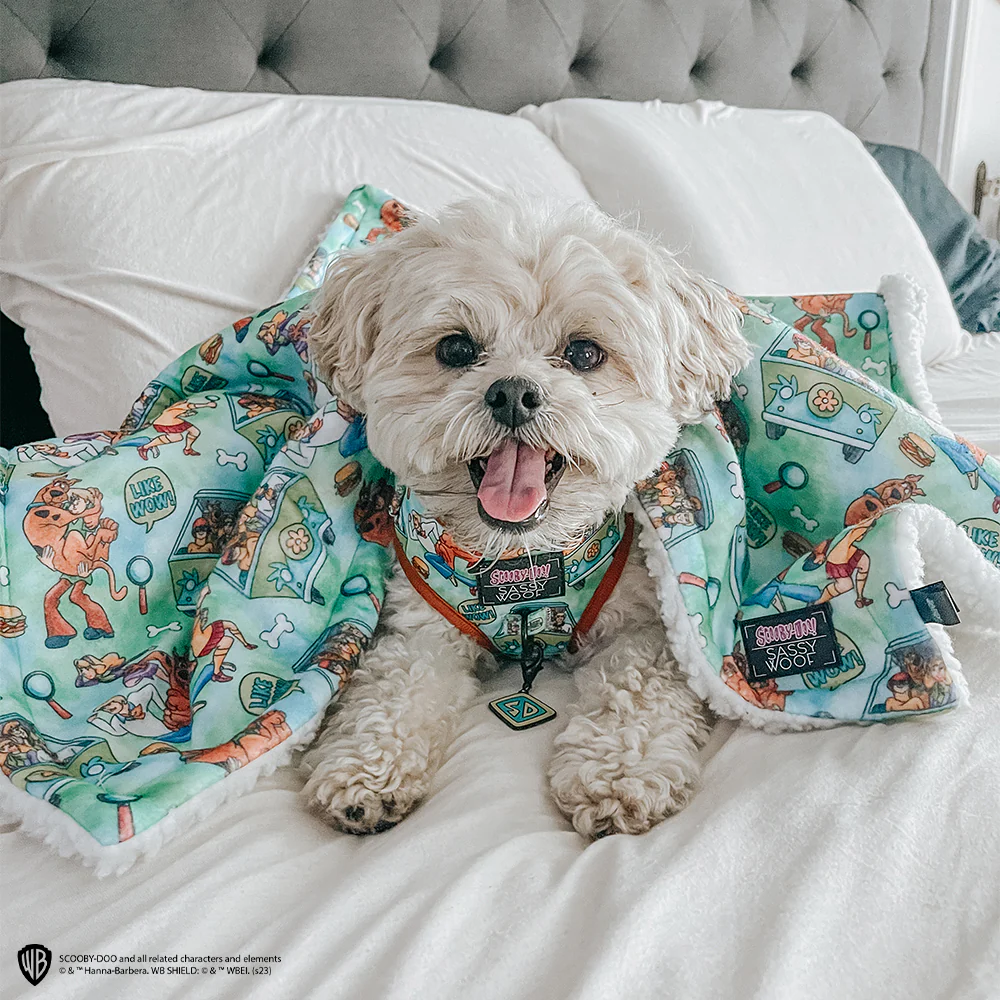 Pet Blanket - Scooby-Doo™ - Image 6