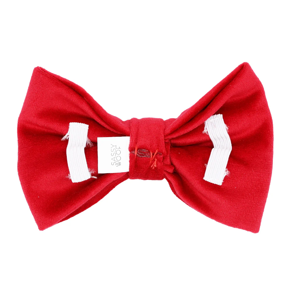 Dog Bowtie - Naughty - Image 3