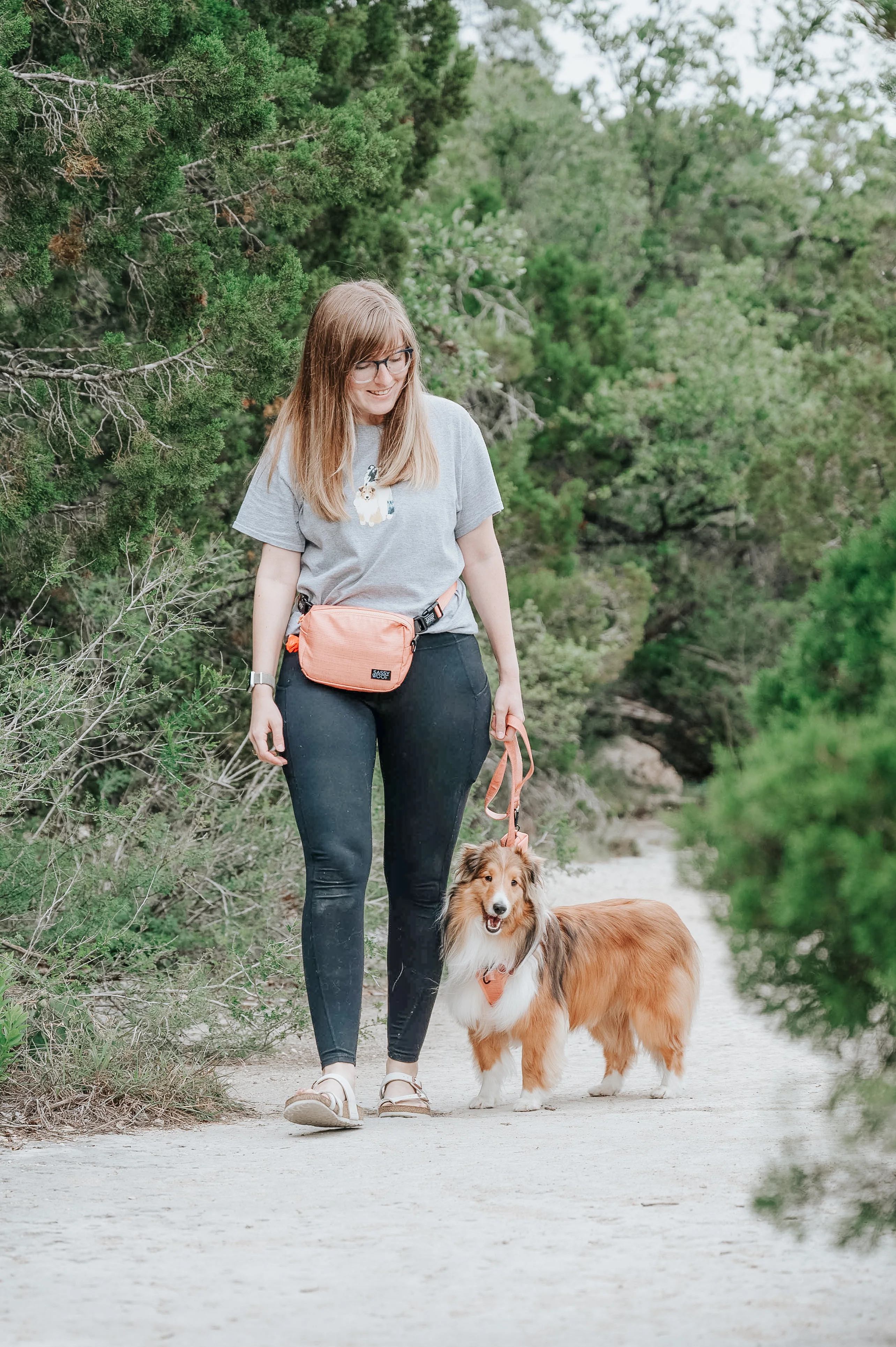 Apple Cider Woof Pack (Bag Only) - Image 5