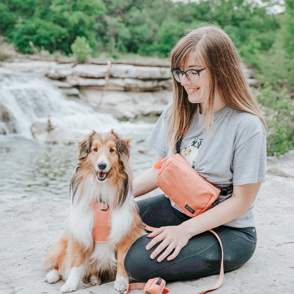 Apple Cider Woof Pack (Bag Only) - Image 6