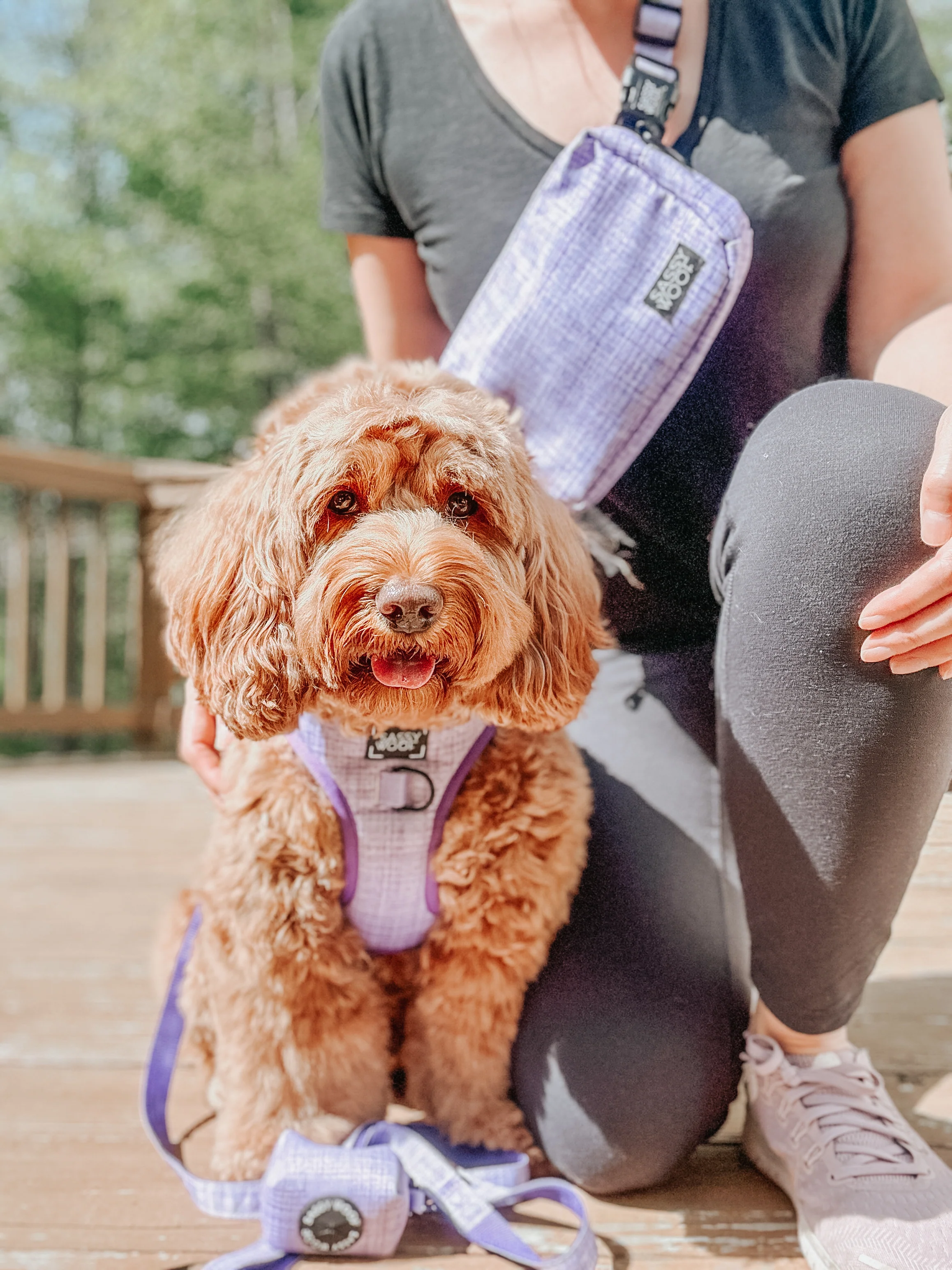 Aurora Woof Pack (Bag Only) - Image 8