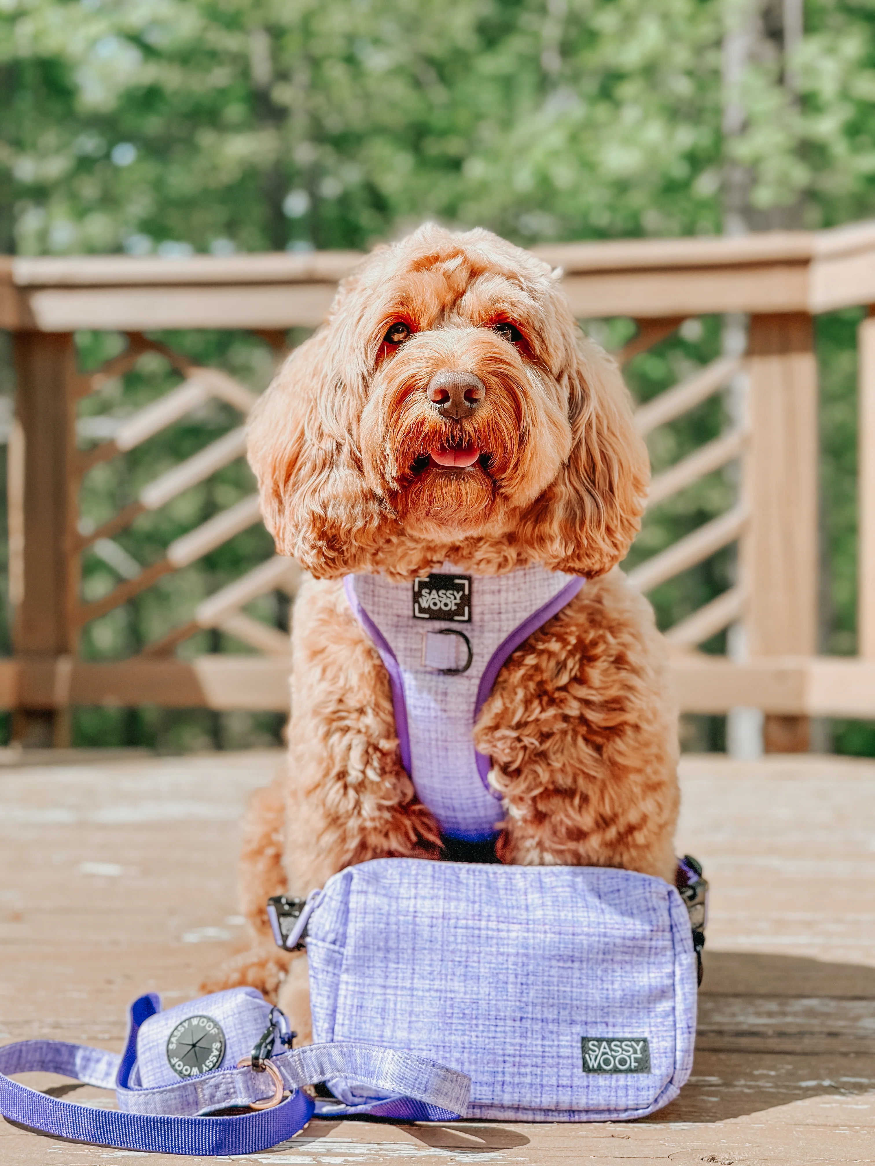 Aurora Woof Pack (Bag Only) - Image 9