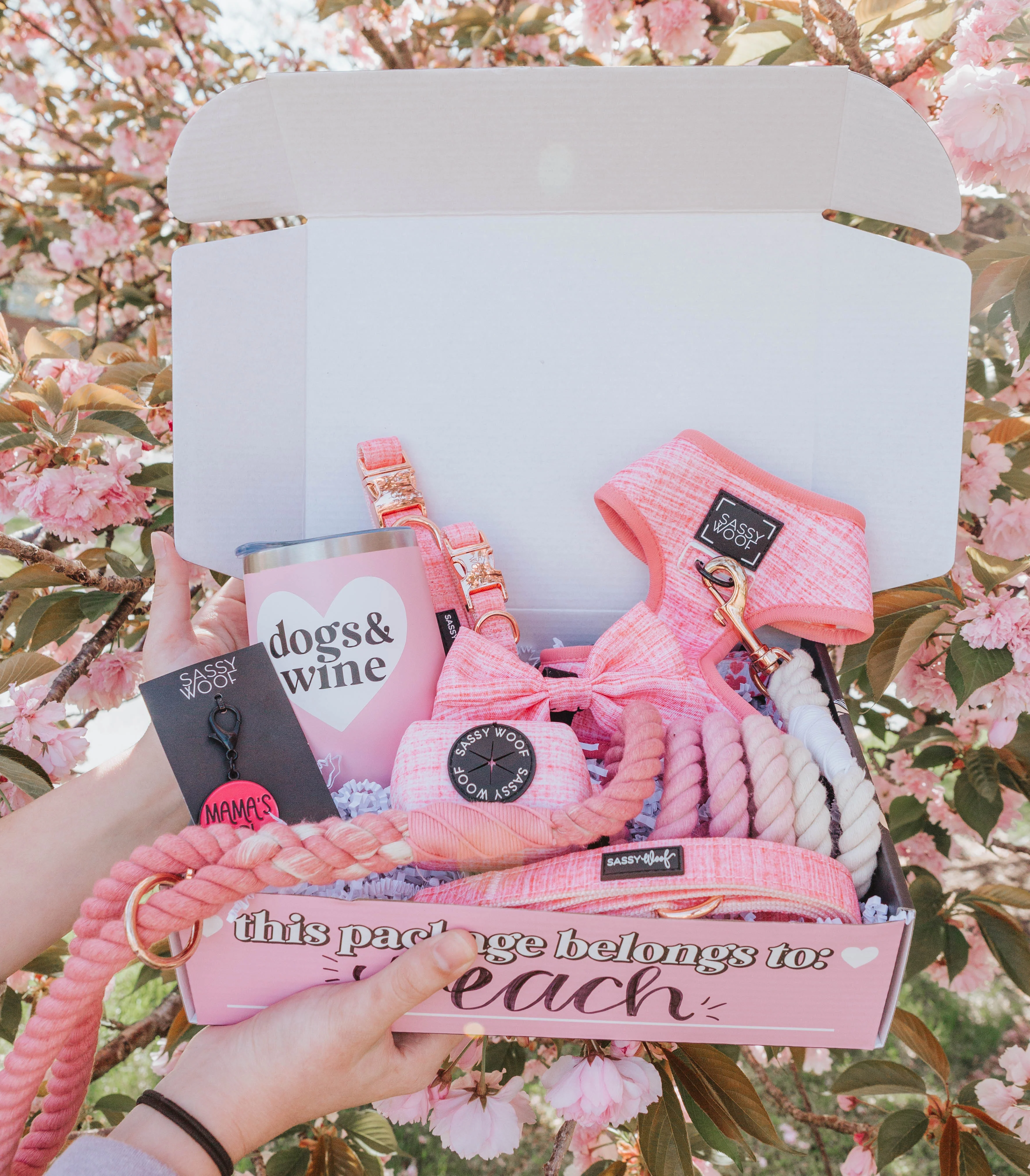 Dog Four Piece Bundle - Dolce Rose - Image 11