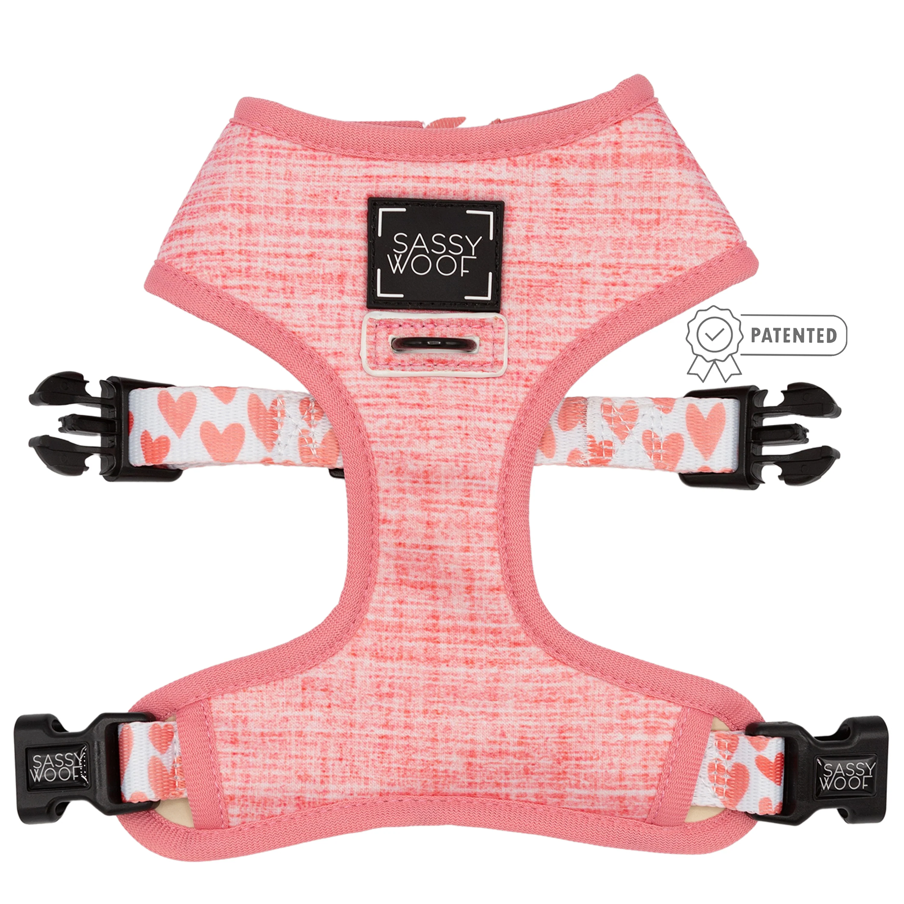 Dog Four Piece Bundle - Dolce Rose - Image 4