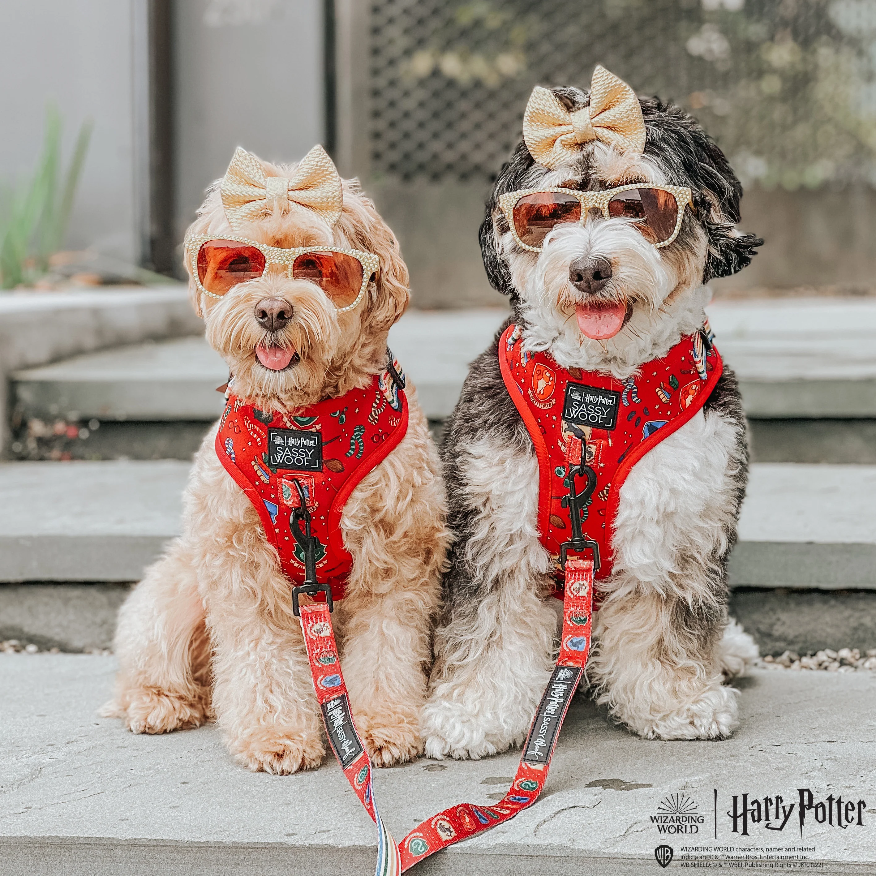 Harness Three Piece Bundle - Harry Potter™ - Image 10