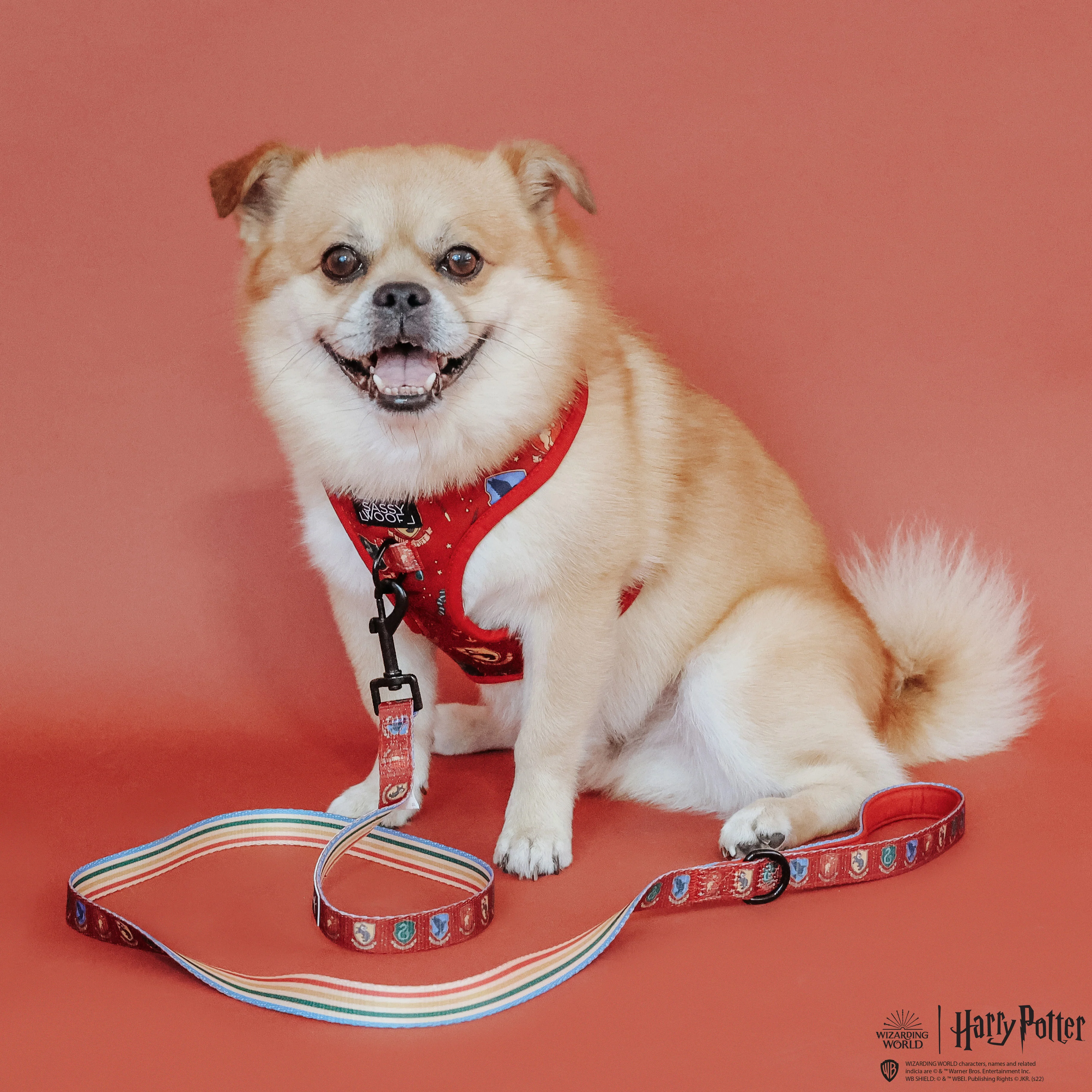 Harness Three Piece Bundle - Harry Potter™ - Image 14