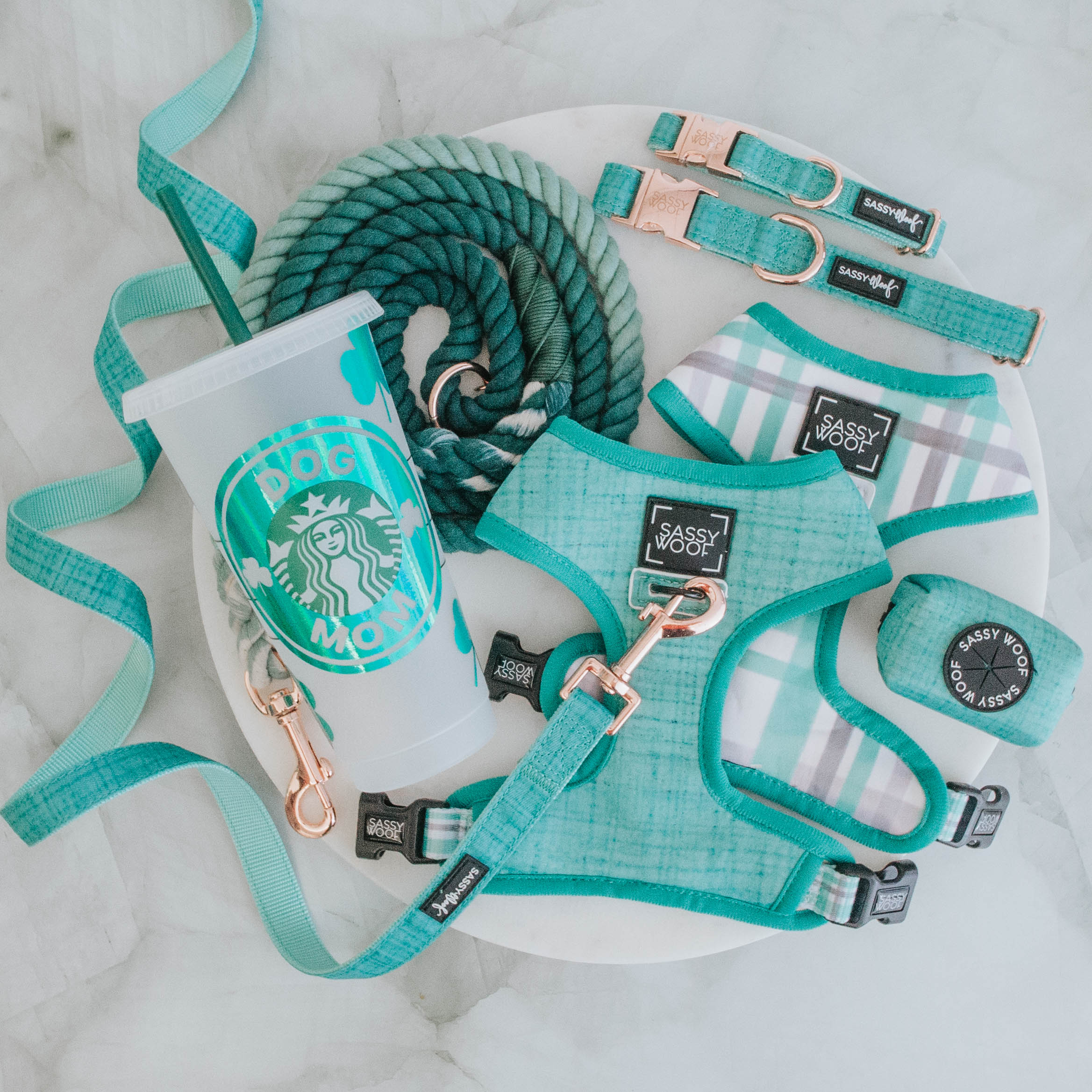 Dog Four Piece Bundle - Wag Your Teal - Image 9