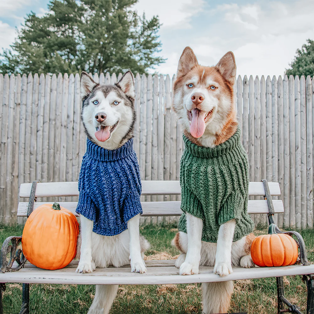 Pet Cable Knit Sweater - Navy - Image 11