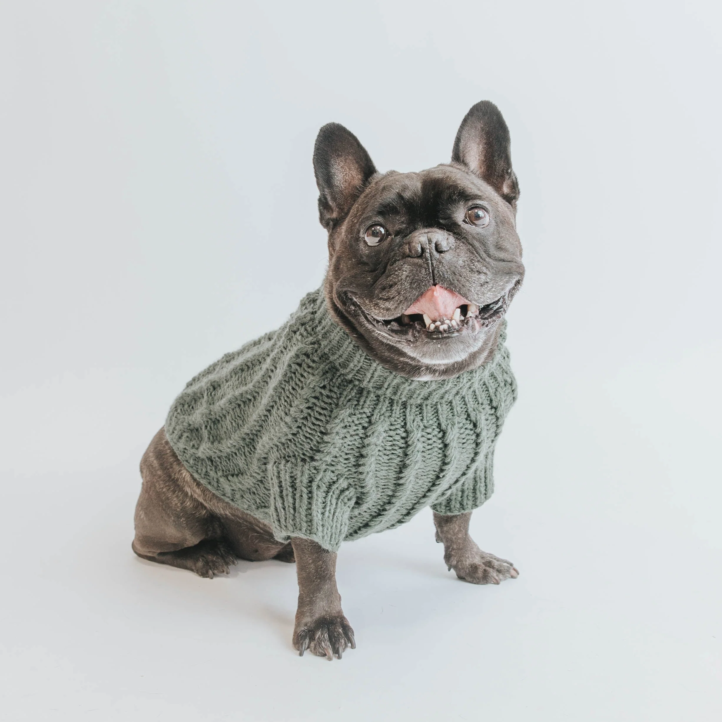 Pet Cable Knit Sweater - Dark Green - Image 11