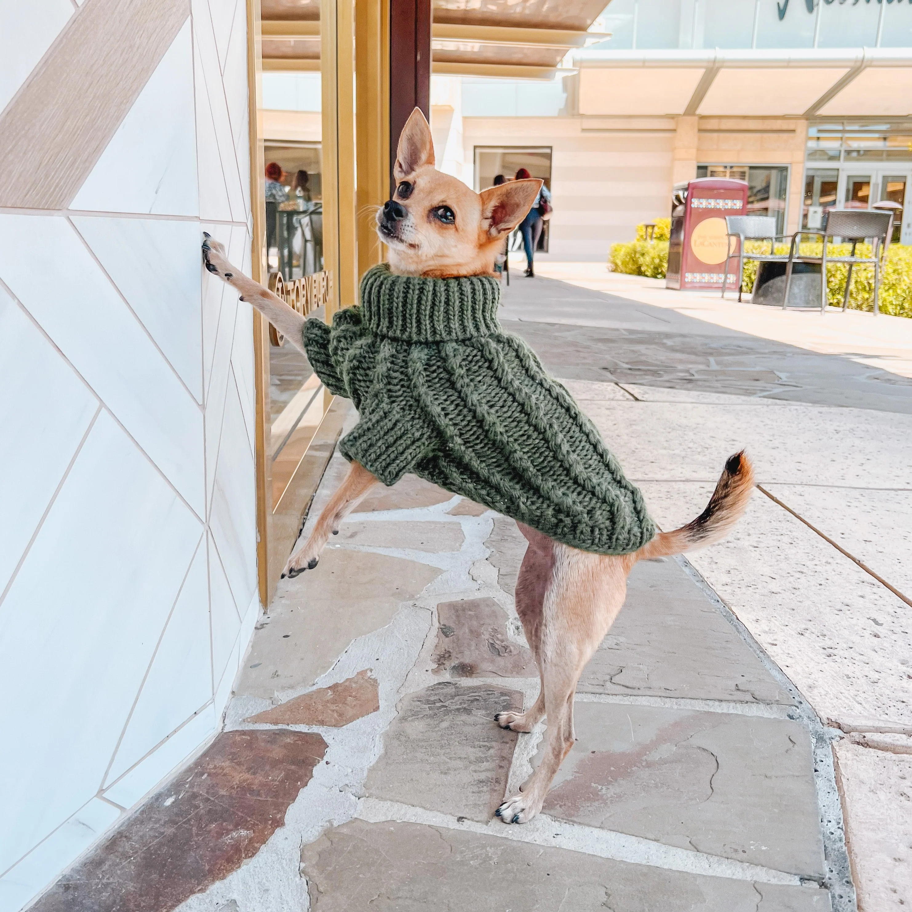 Pet Cable Knit Sweater - Dark Green - Image 18