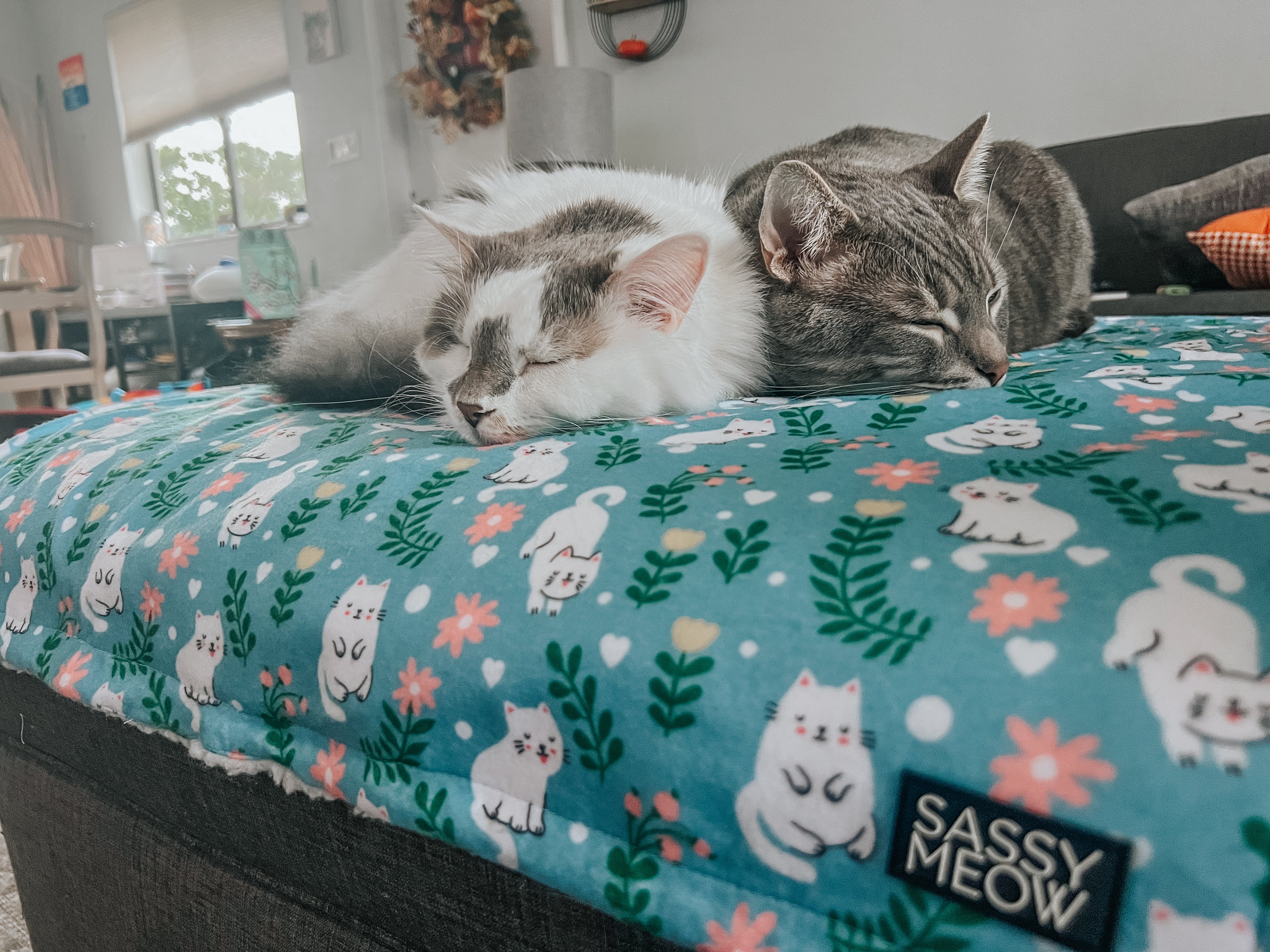Pet Blanket - Purrs & Petals - Image 3