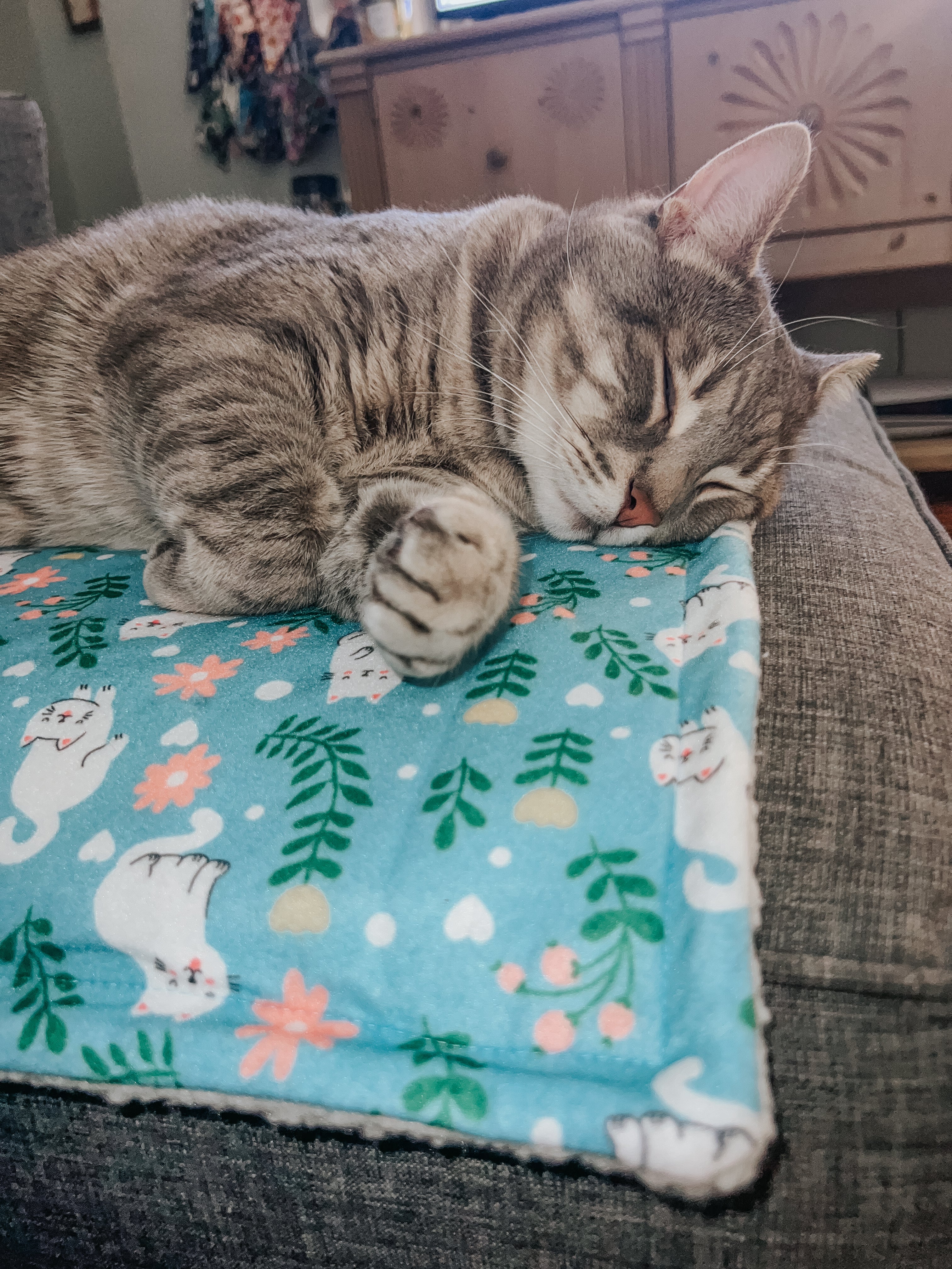 Pet Blanket - Purrs & Petals - Image 5