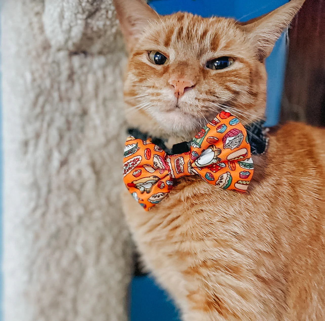 Cat Bowtie - Garfield™ - Image 8