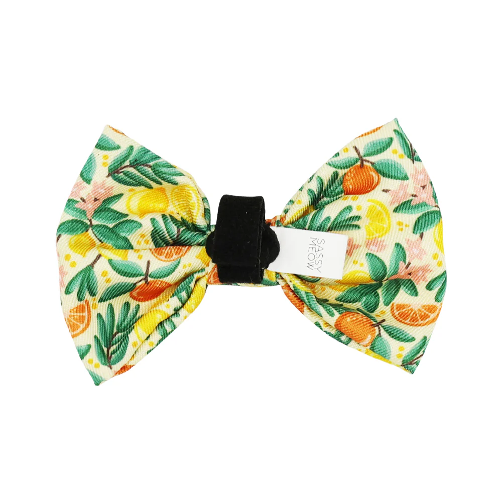Cat Bowtie - Zest Friends - Image 3
