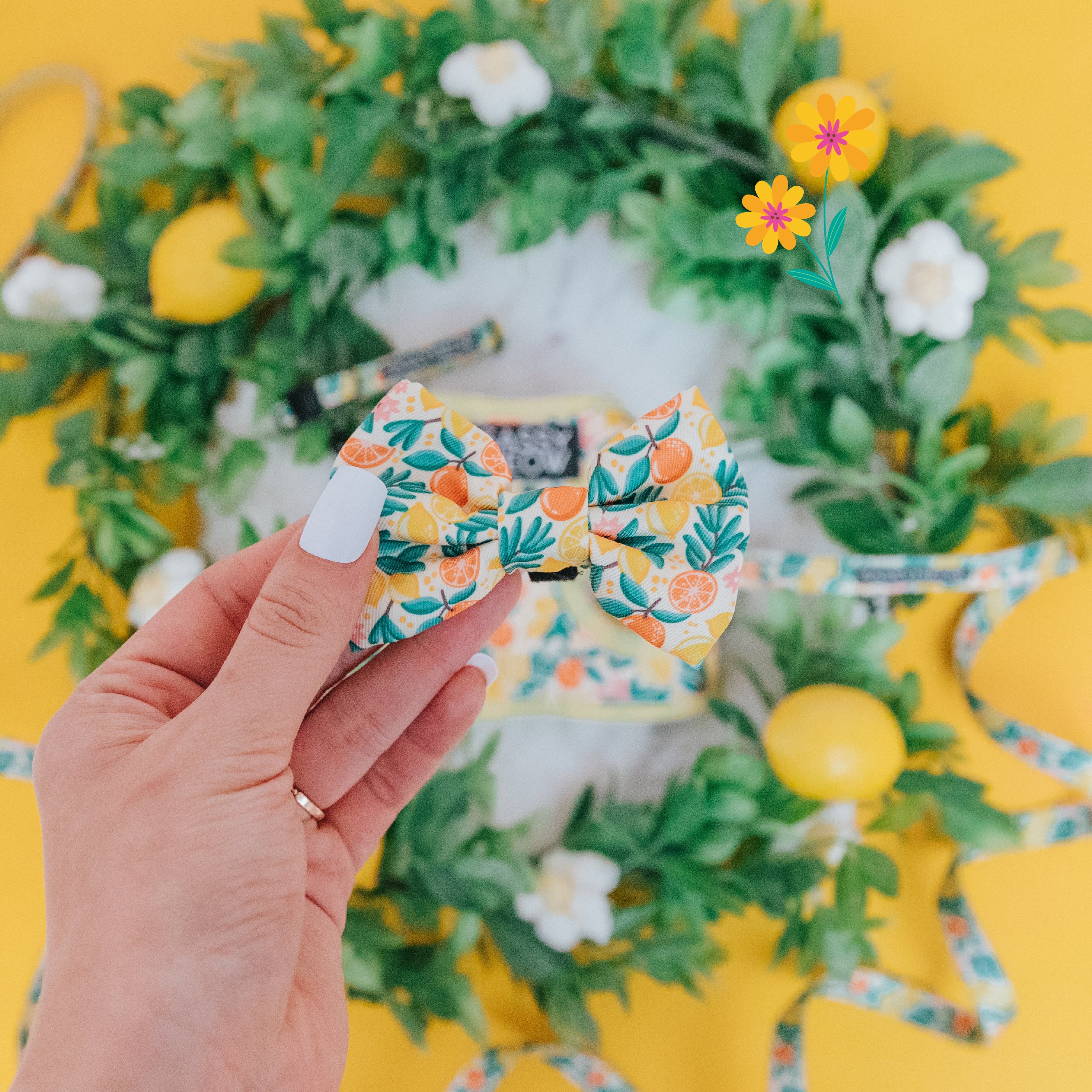 Cat Bowtie - Zest Friends - Image 4