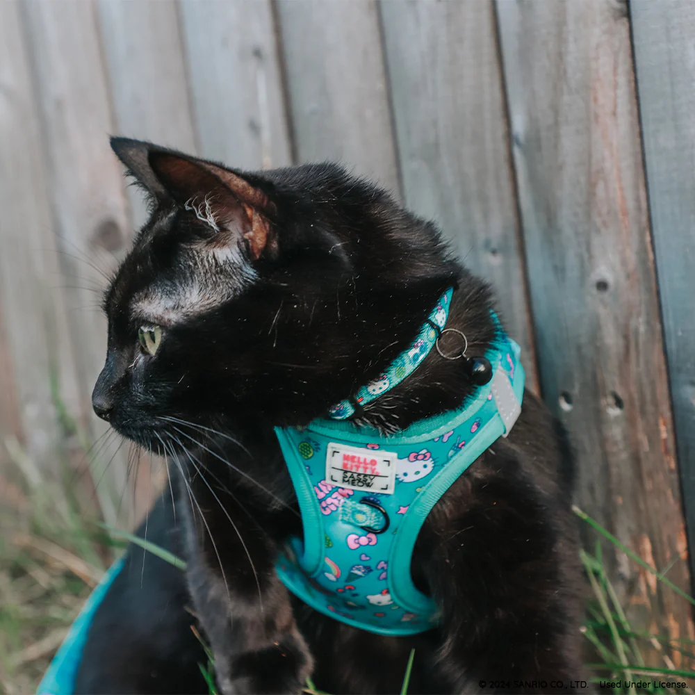 Cat Collar - Hello Kitty® Aqua - Image 5