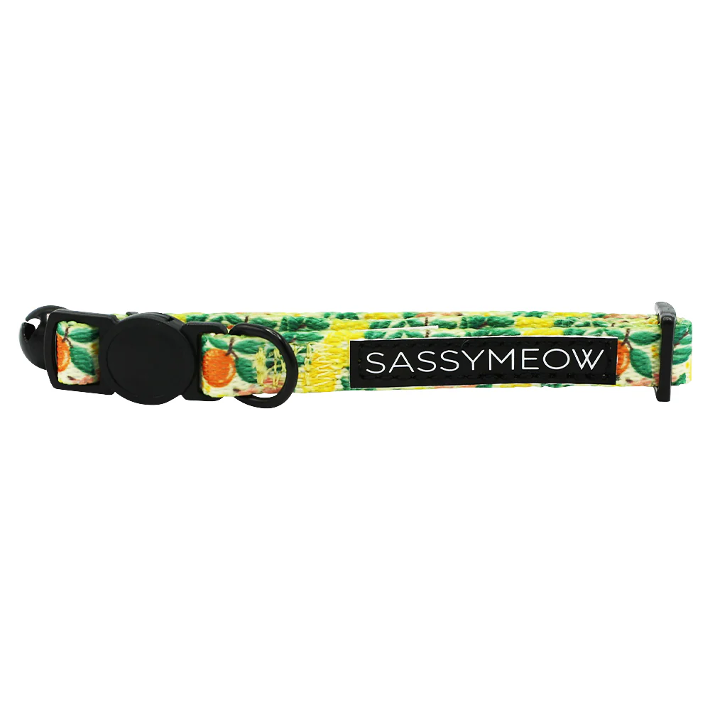 Cat Collar - Zest Friends - Image 3