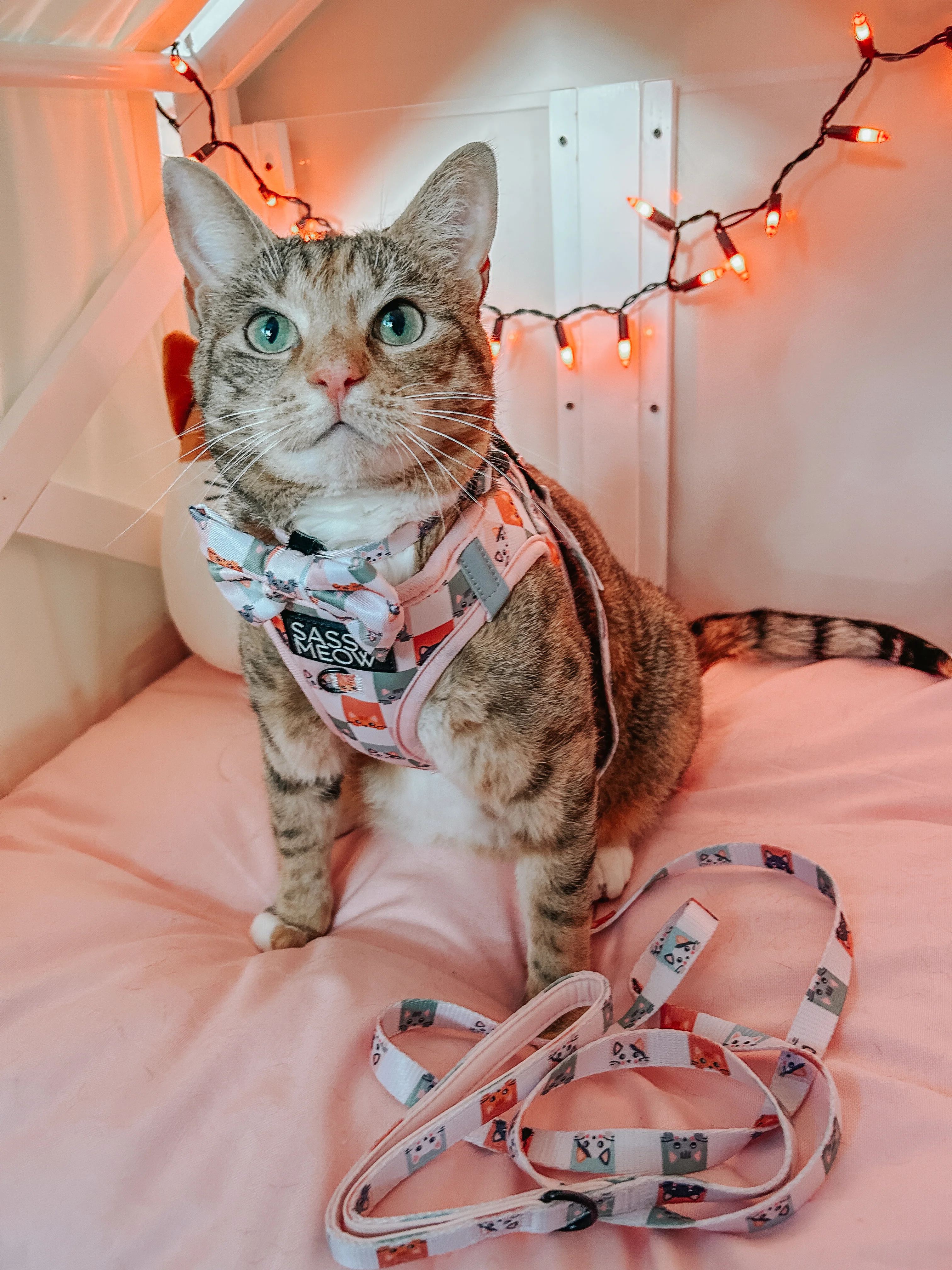 Cat Step-In Harness - Smitten Kittens - Image 7