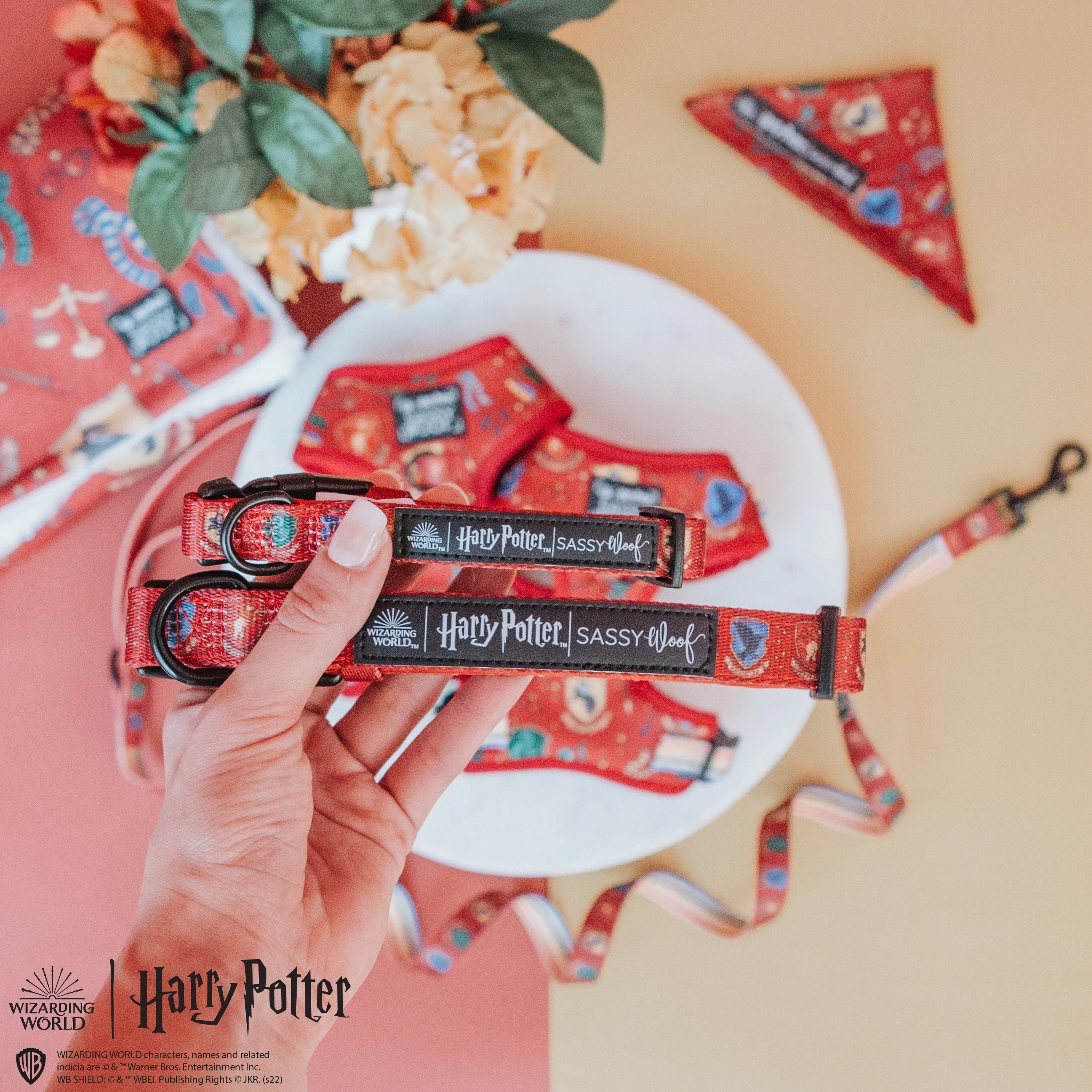 Dog Collar - Harry Potter™ - Image 5