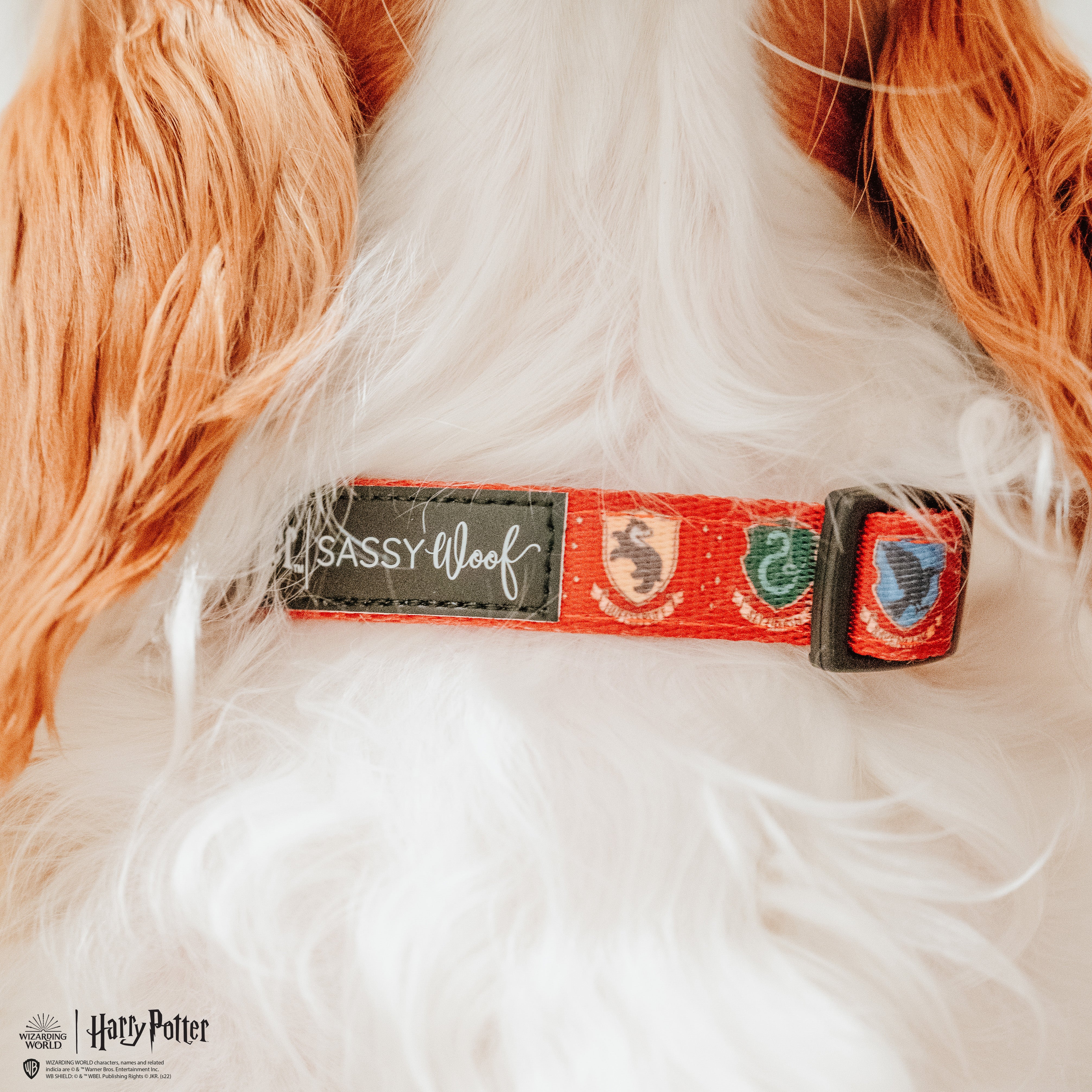 Dog Collar - Harry Potter™ - Image 8