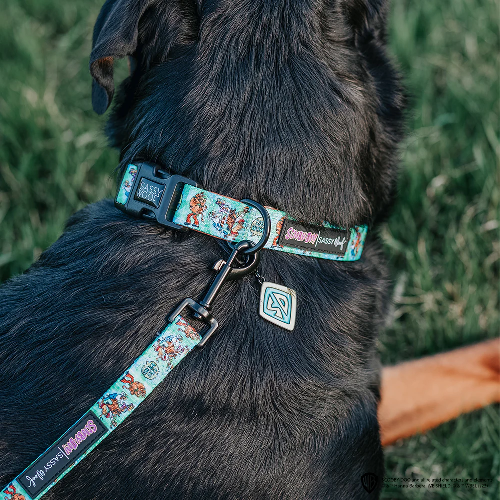 Dog Collar - Scooby-Doo™ - Image 12