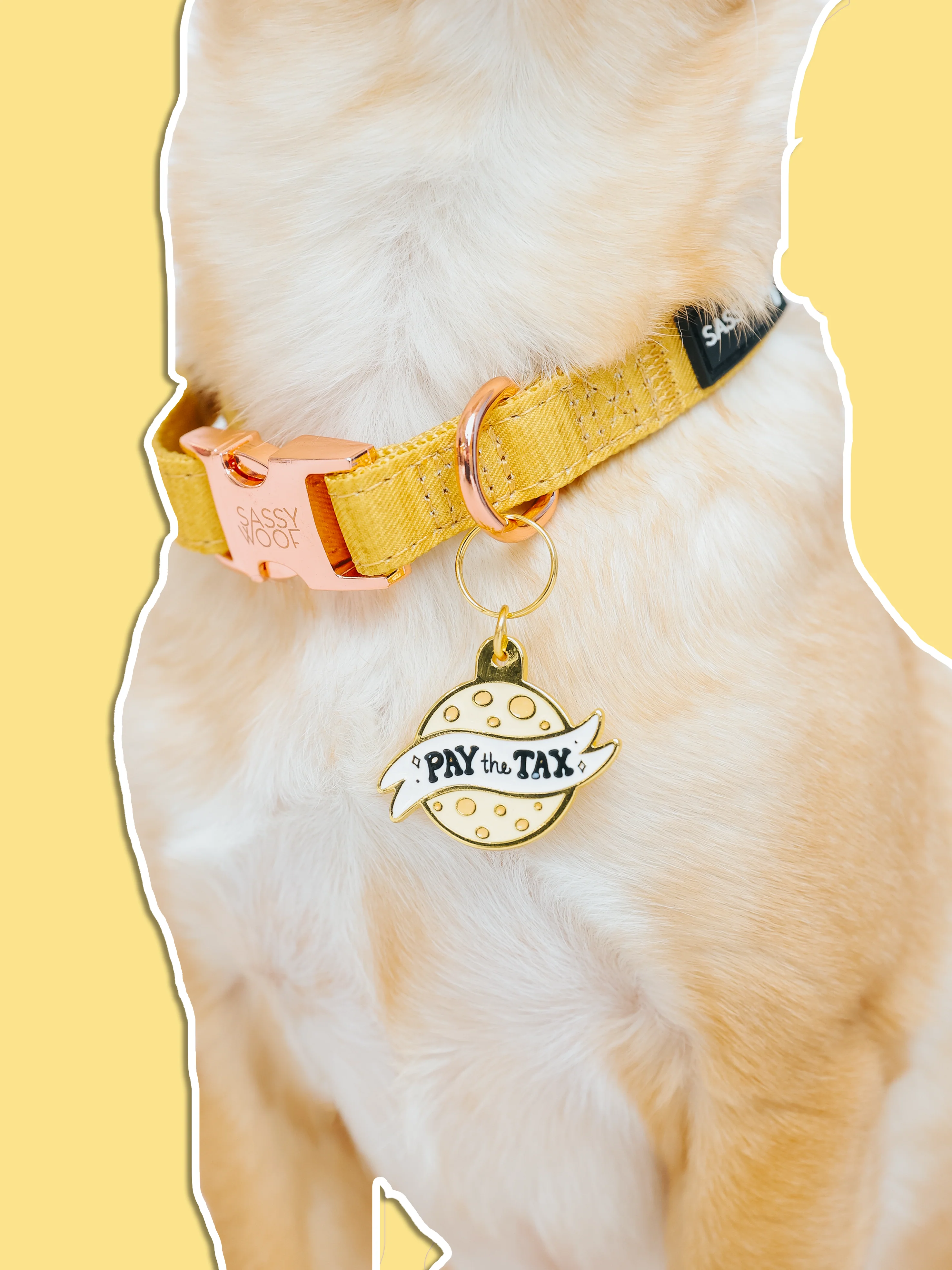 Collar Tag - Cheese Tax - Image 4
